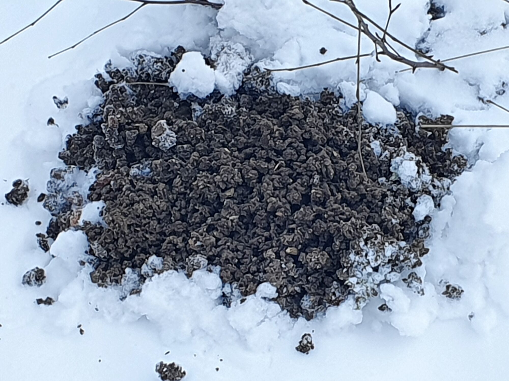 Valokuvaaja: Liisa Sivusaari