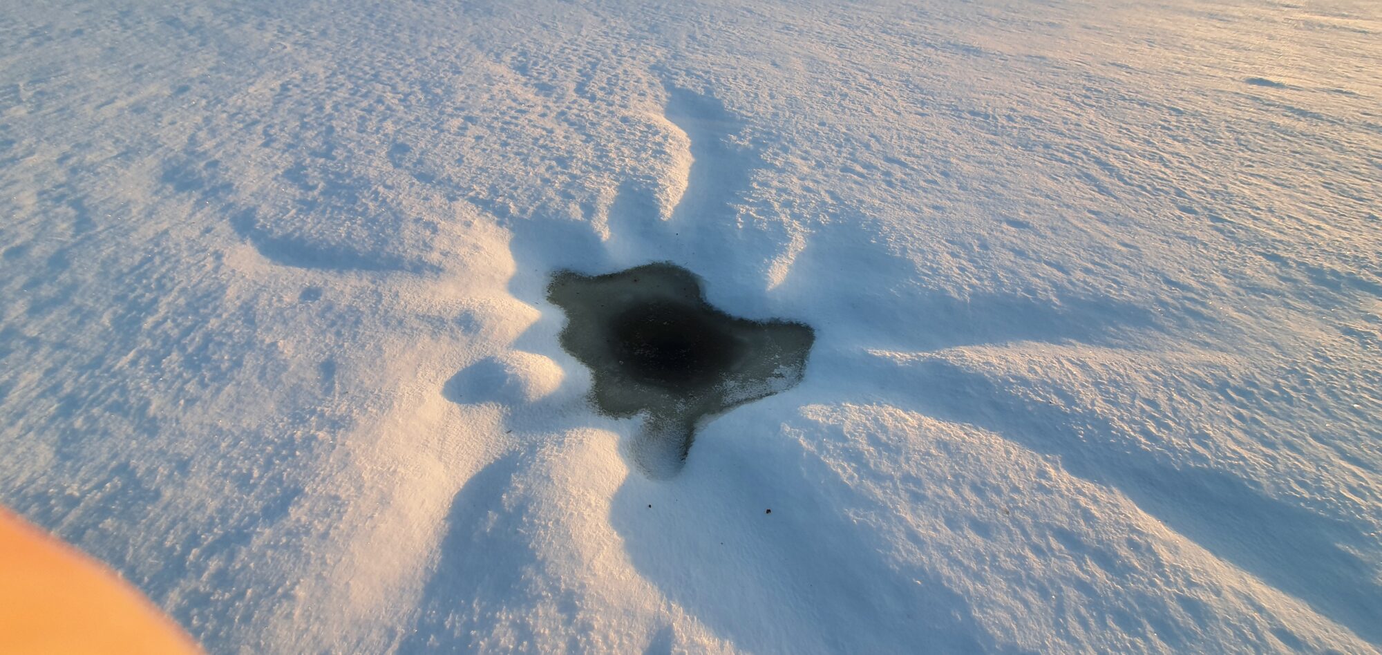 Valokuvaaja: Kari Nevalainen