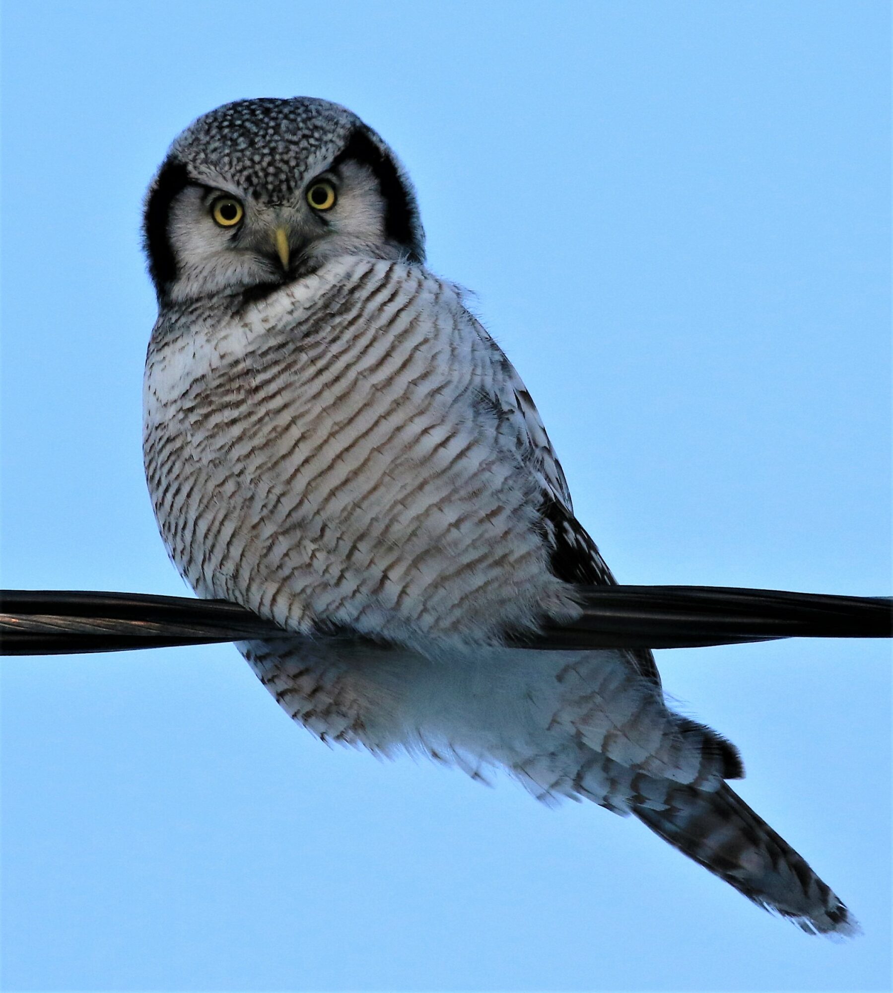 Valokuvaaja: Anne Keskivinkka