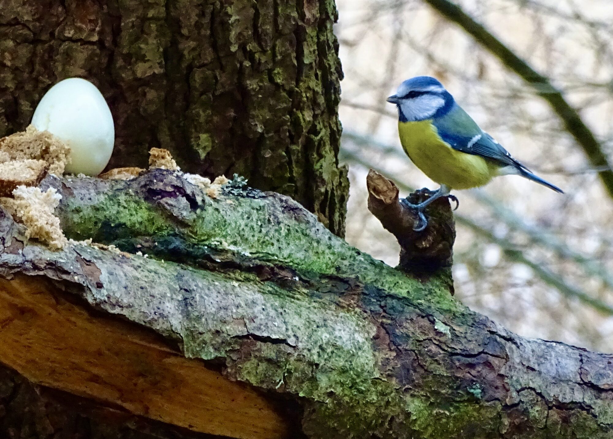 Valokuvaaja: Juhani Peltonen