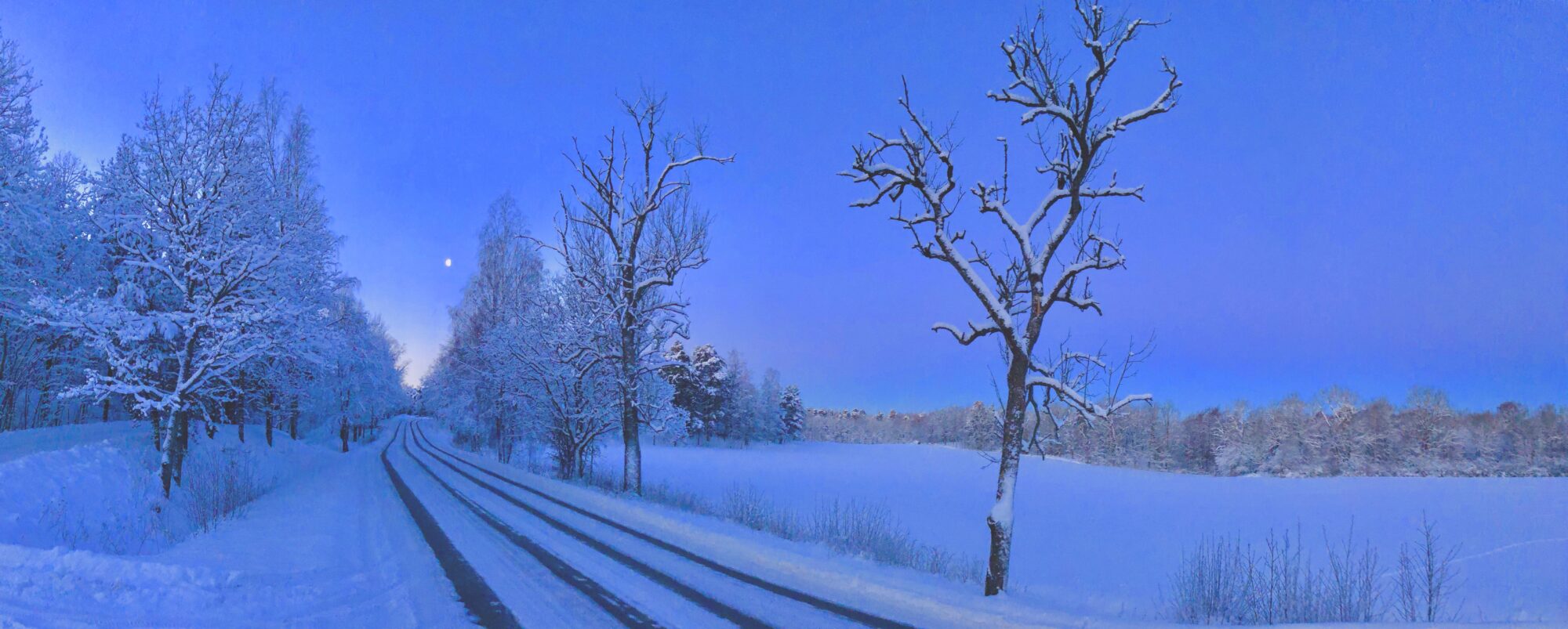 Valokuvaaja: Juhani Peltonen