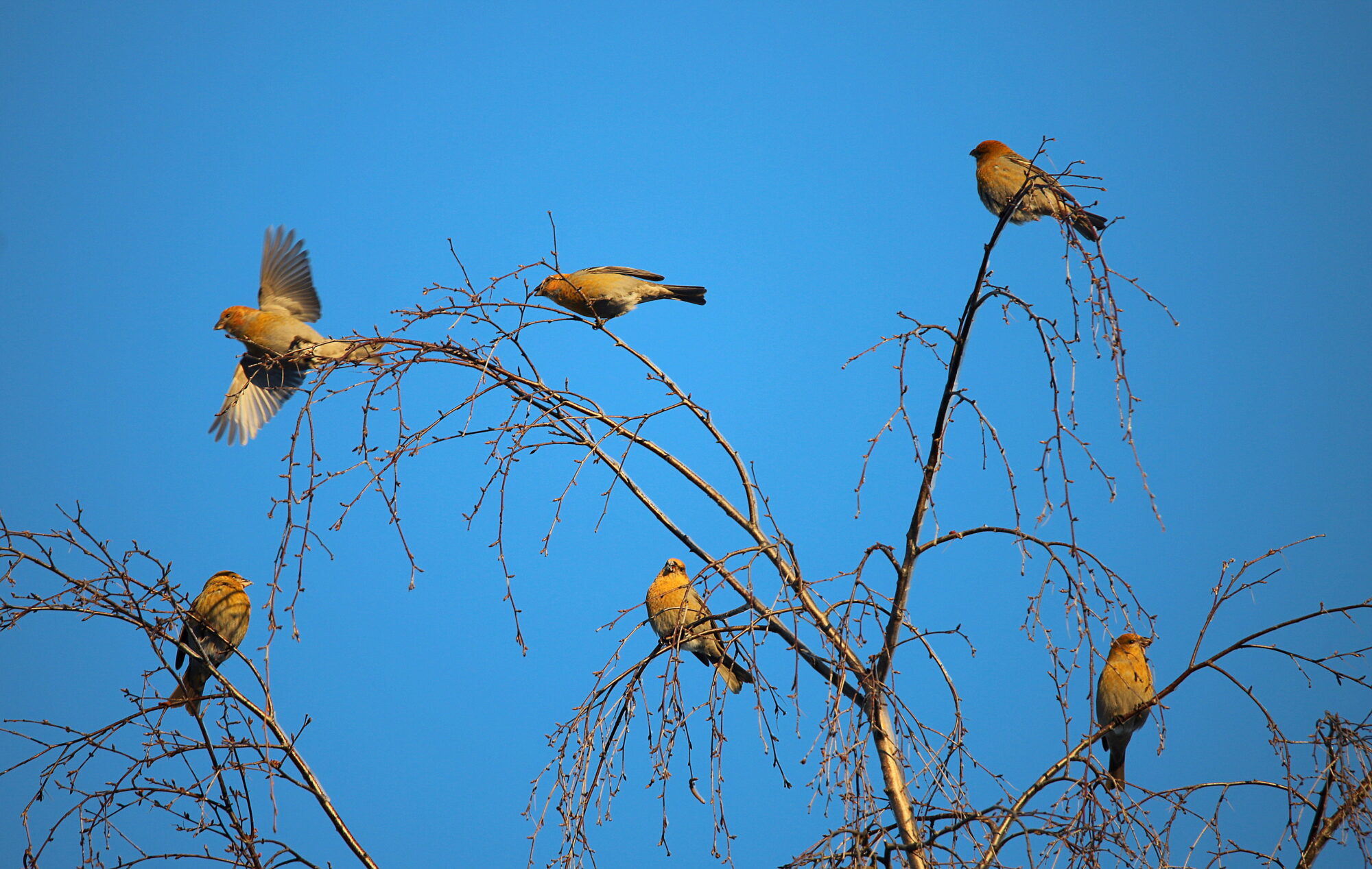 Valokuvaaja: sirpa jyske