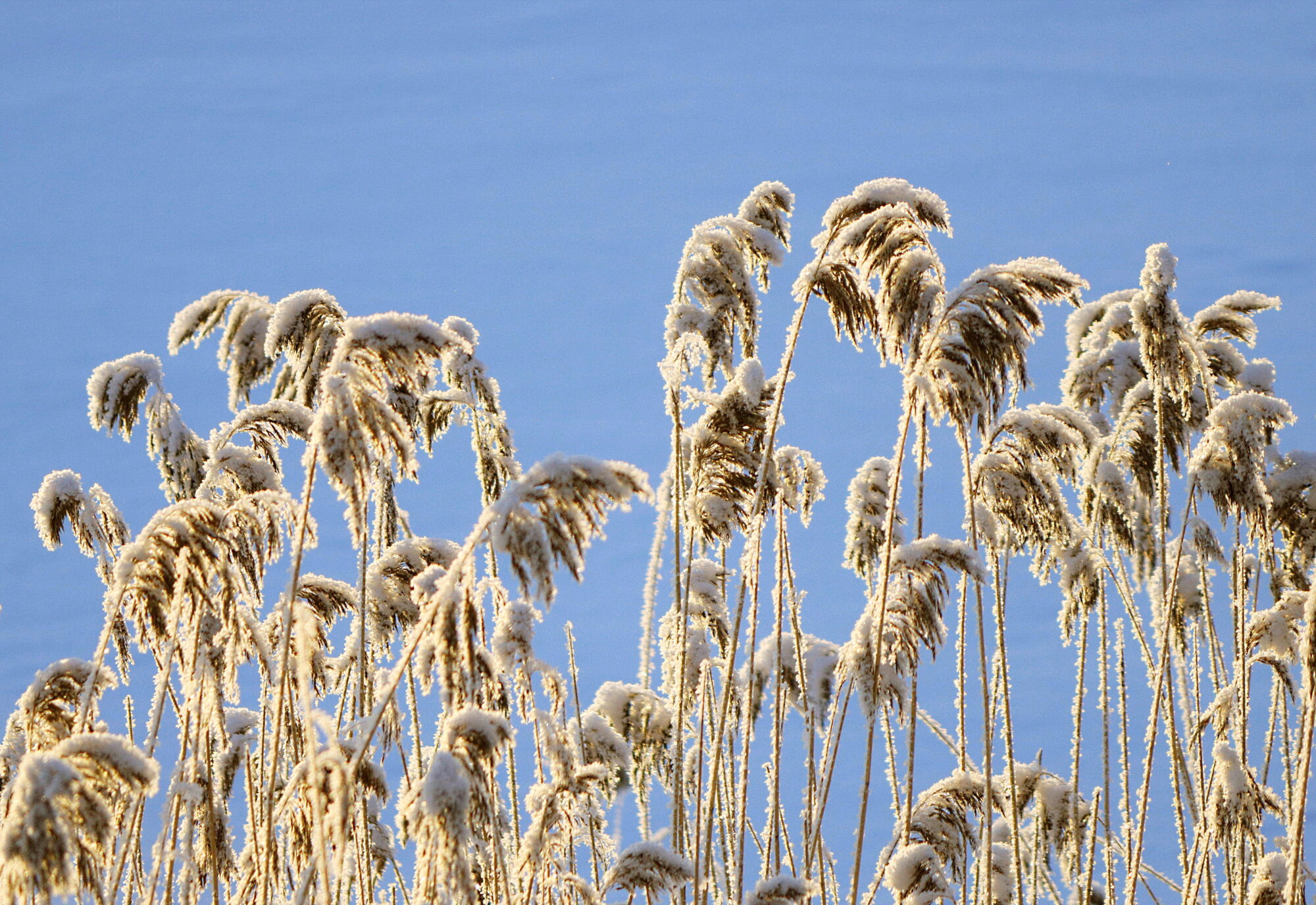 Valokuvaaja: Ritva Nieminen