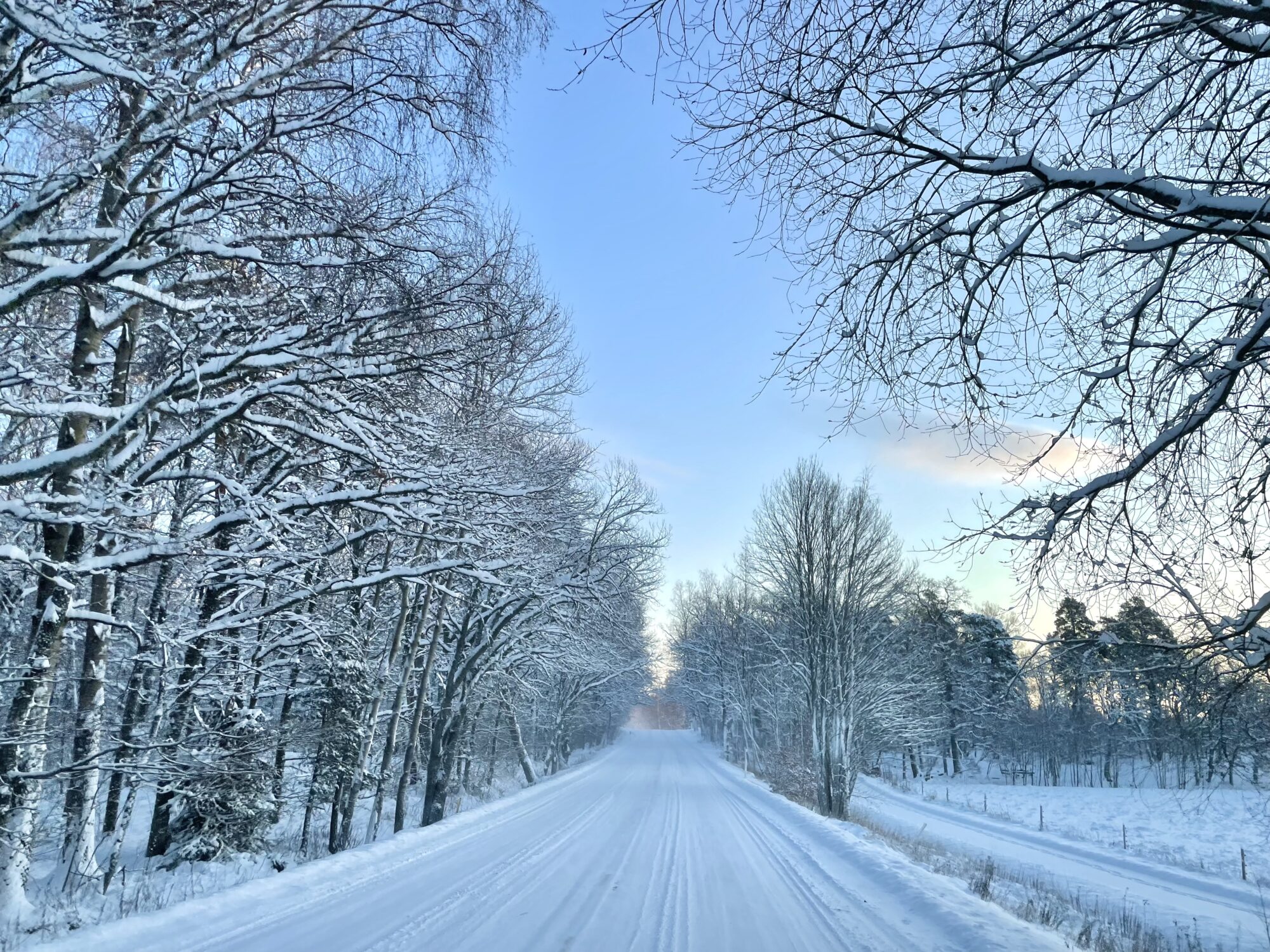 Valokuvaaja: Juhani Peltonen