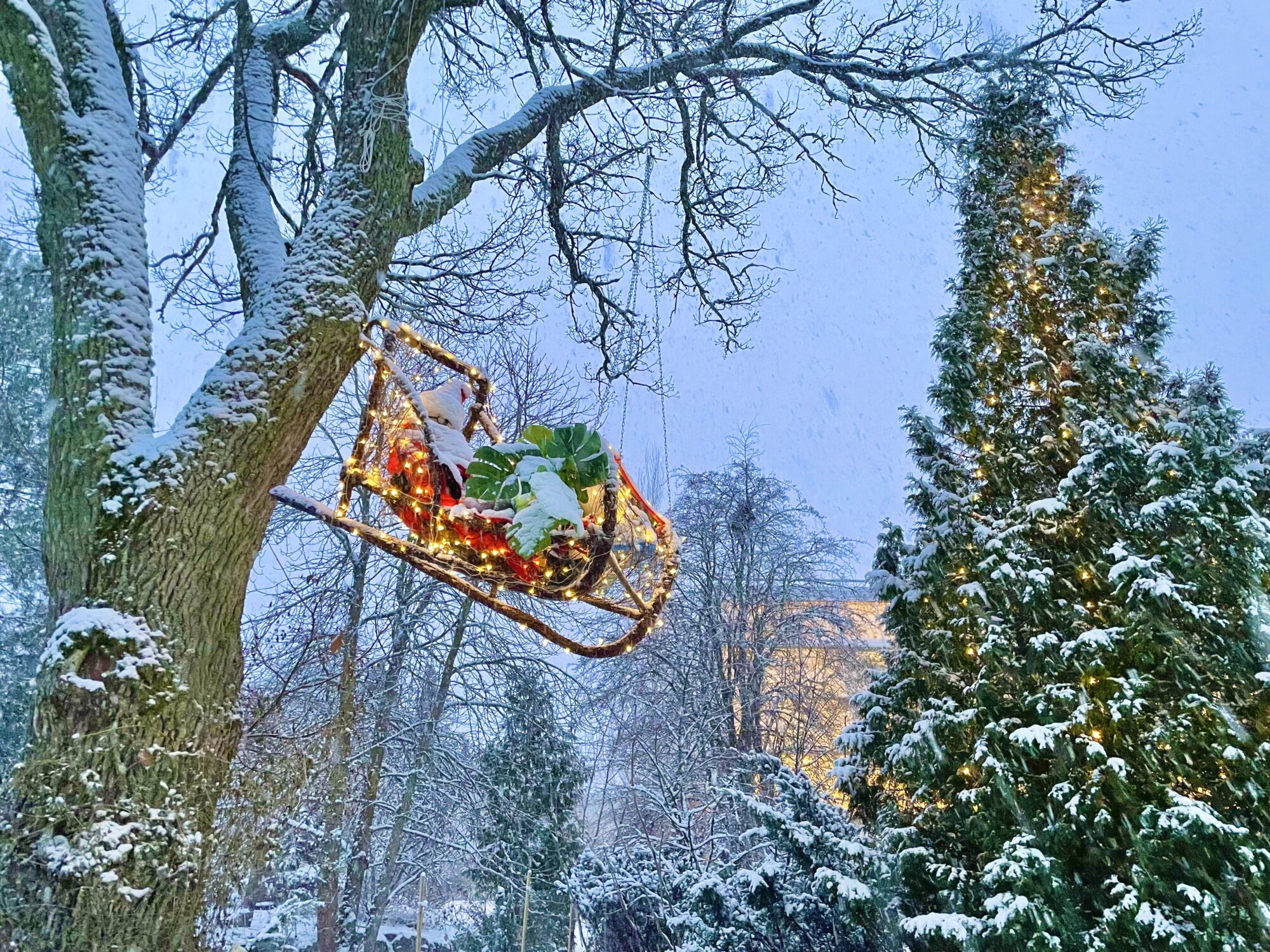 Valokuvaaja: Juhani Peltonen