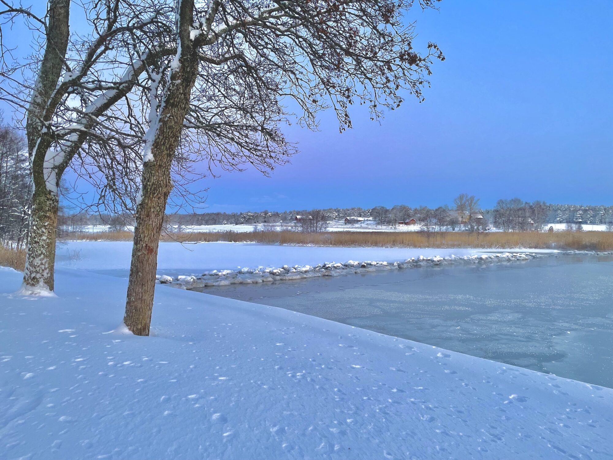 Valokuvaaja: Juhani Peltonen