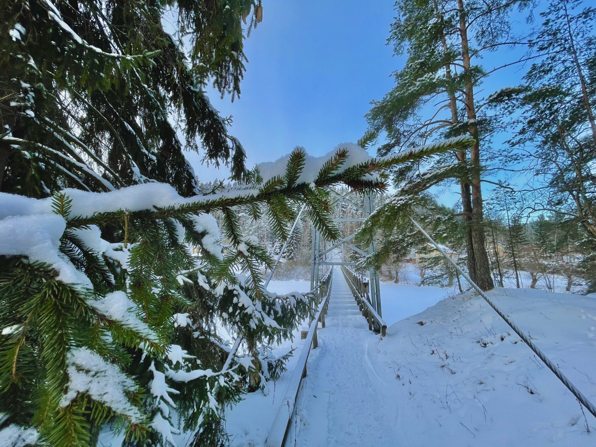 Valokuvaaja: Juhani Peltonen