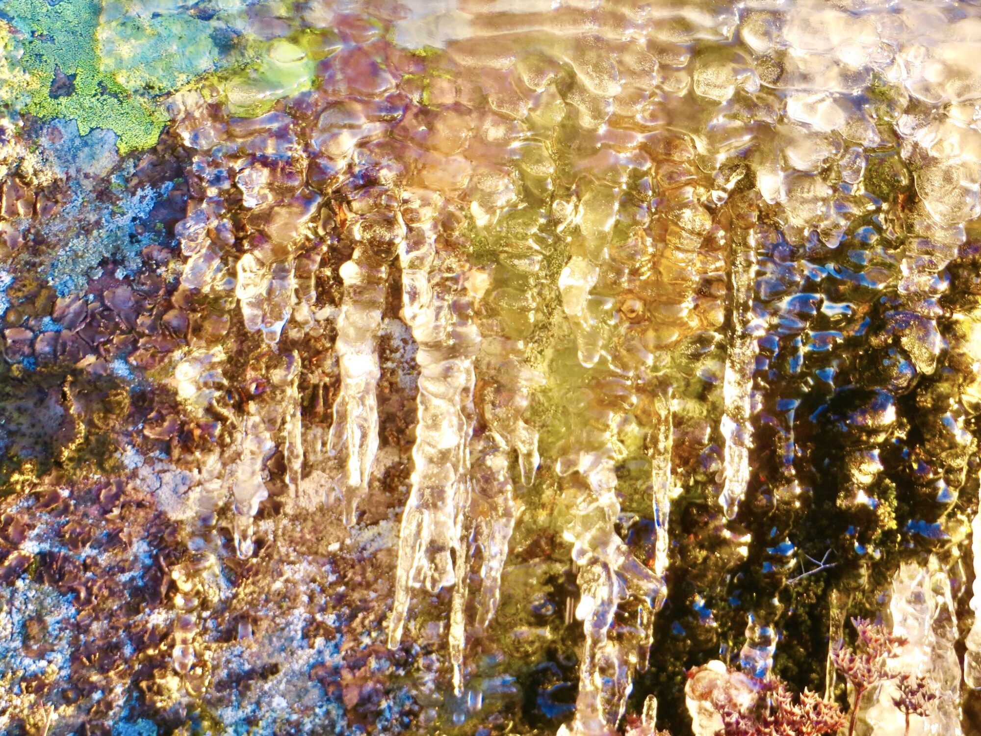 Valokuvaaja: Juhani Peltonen