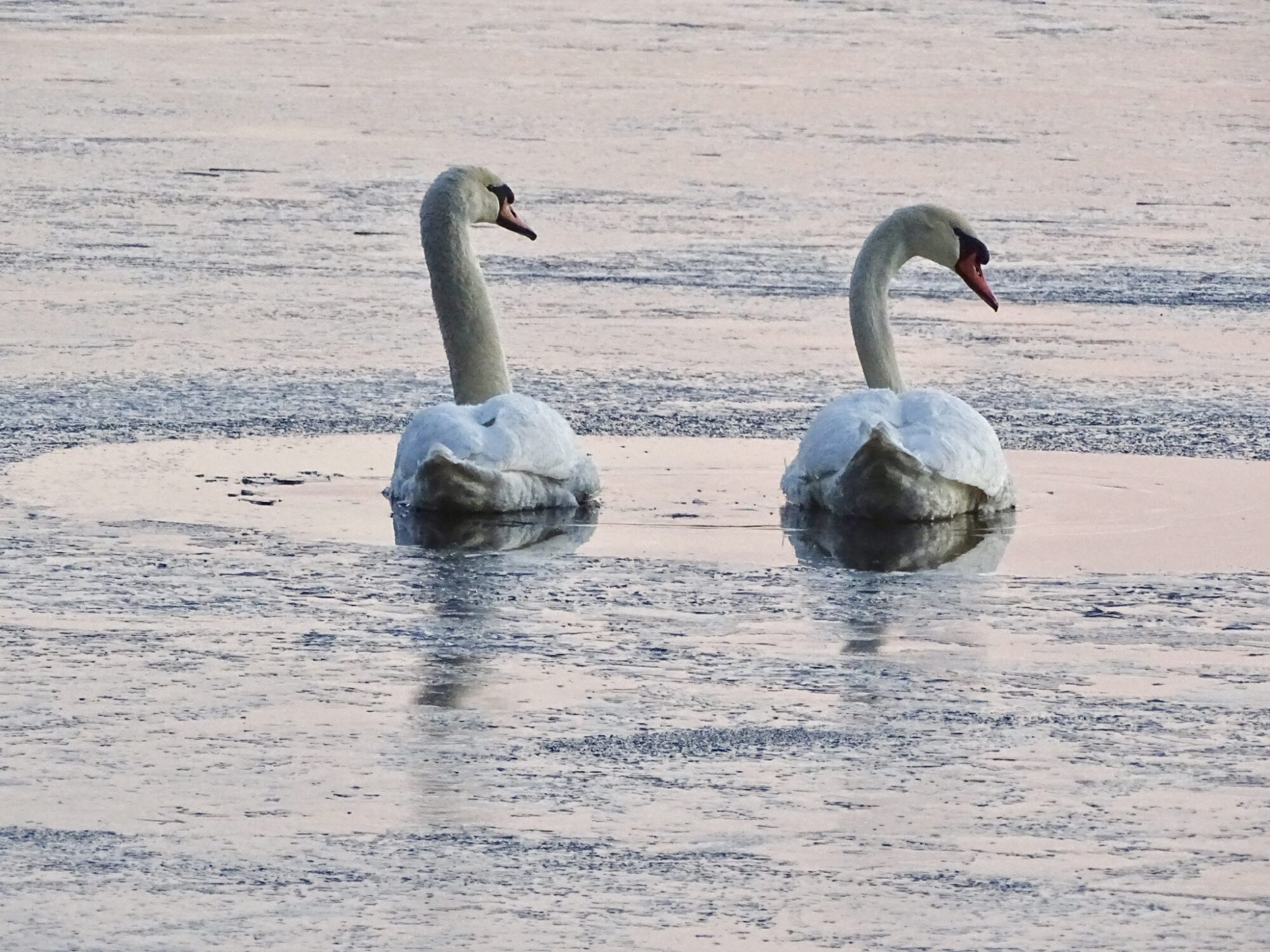 Valokuvaaja: Juhani Peltonen