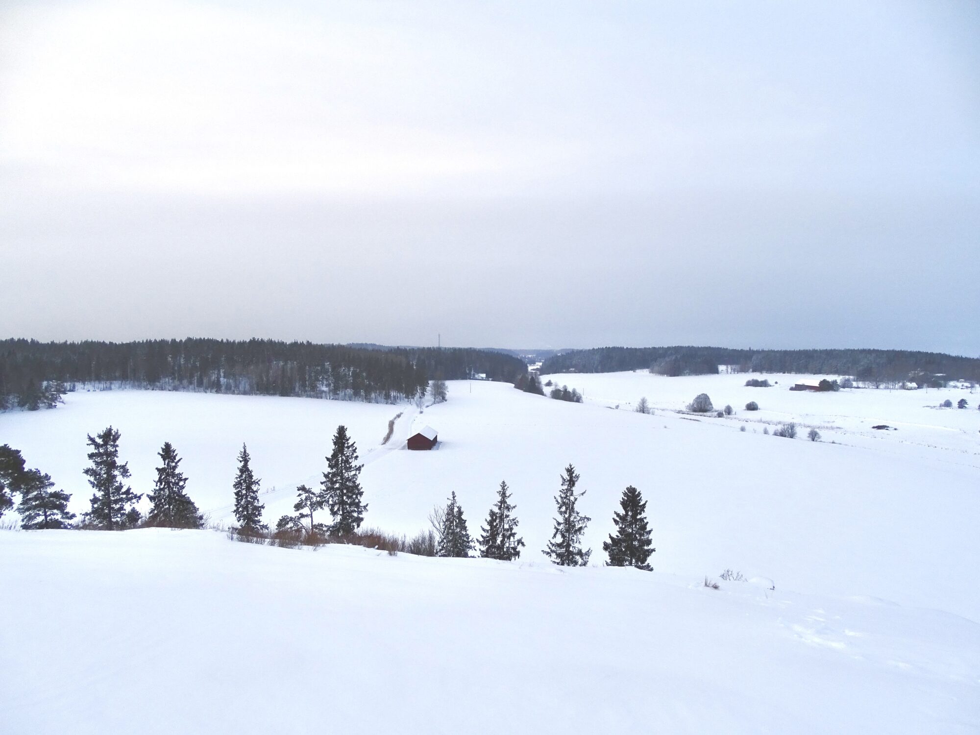 Valokuvaaja: Juhani Peltonen