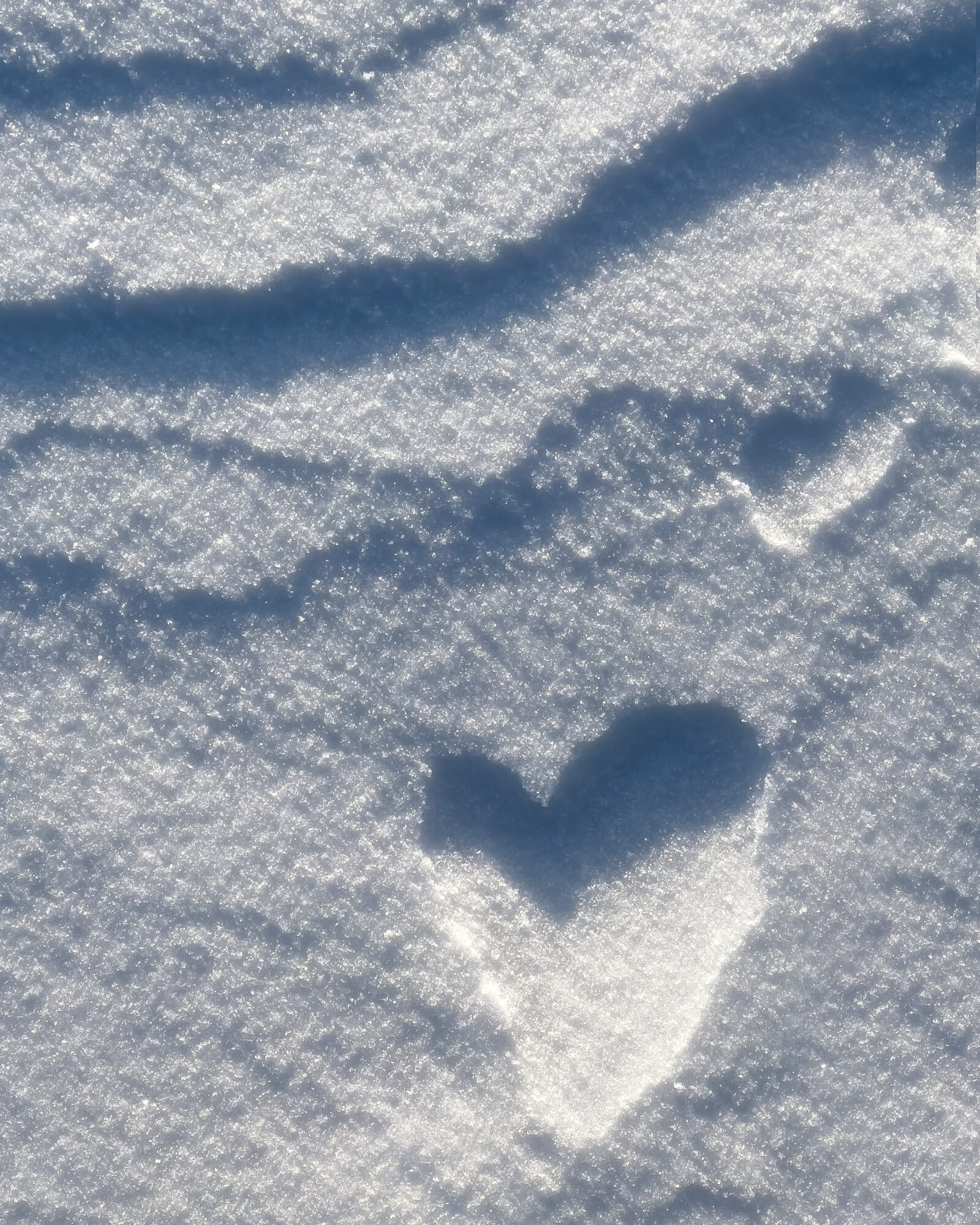 Valokuvaaja: Anne Patana