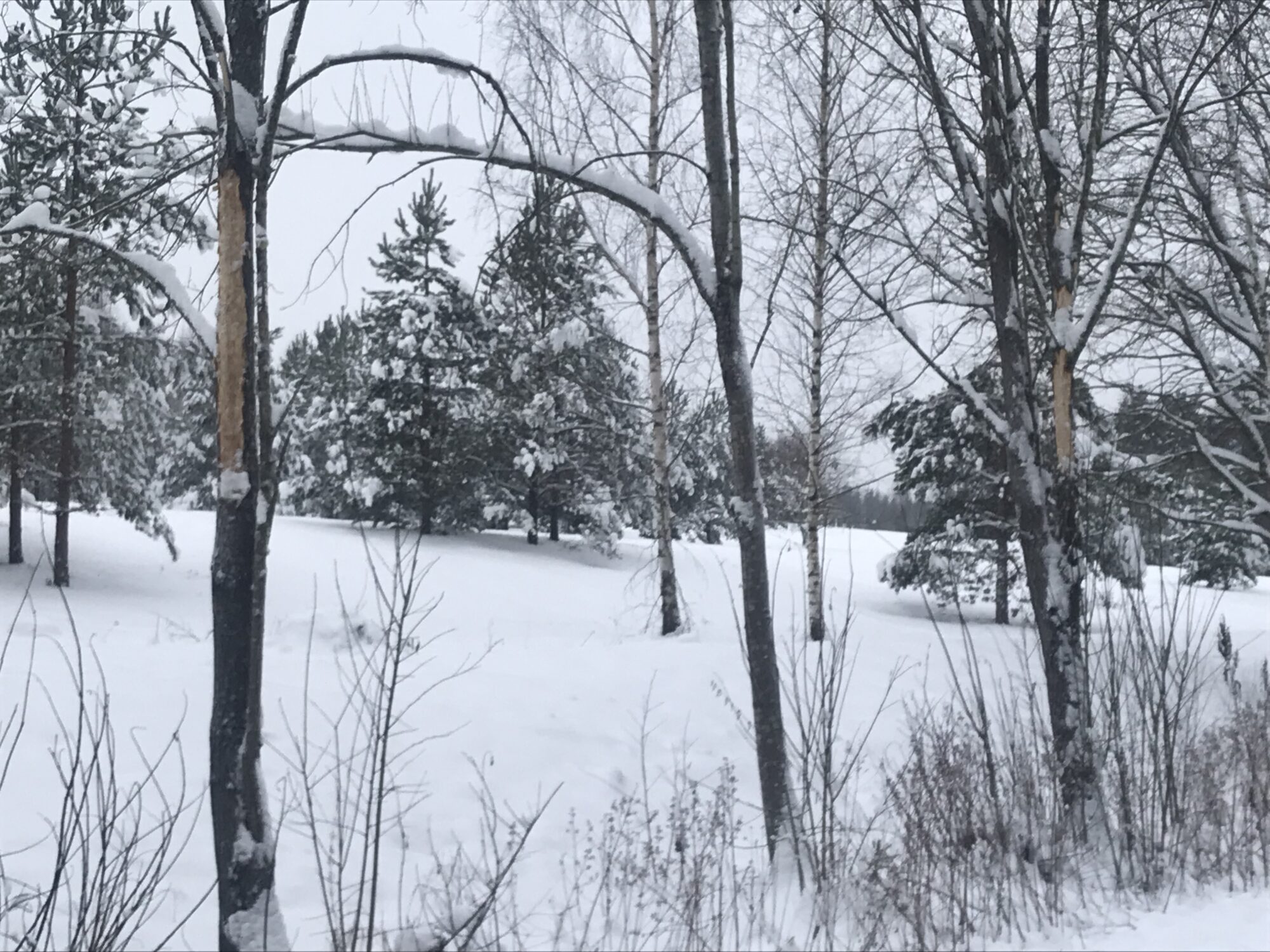 Valokuvaaja: Paula Vainiomäki Valokuvaaja: Paula Vainiomäki