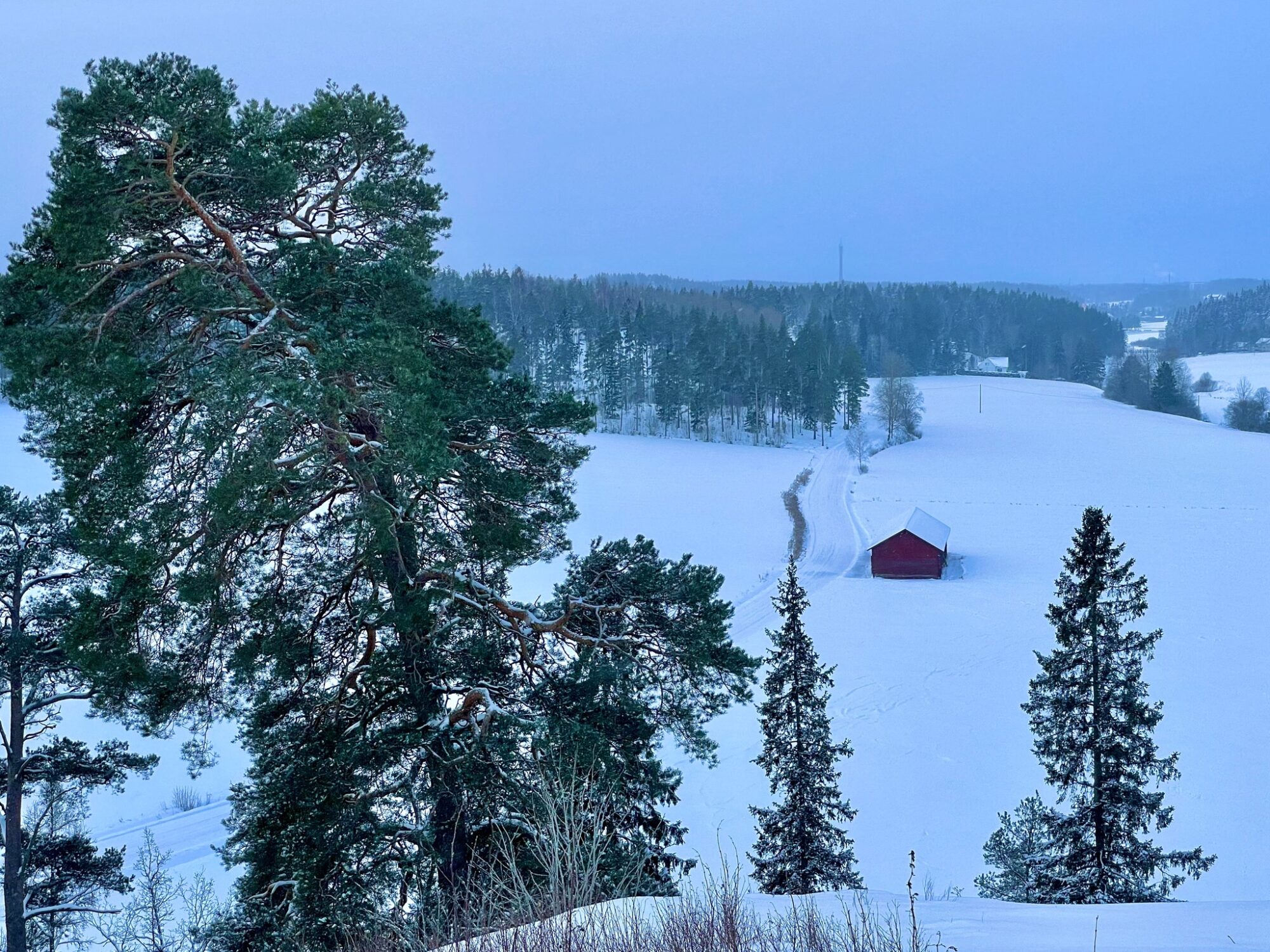 Valokuvaaja: Juhani Peltonen Valokuvaaja: Juhani Peltonen