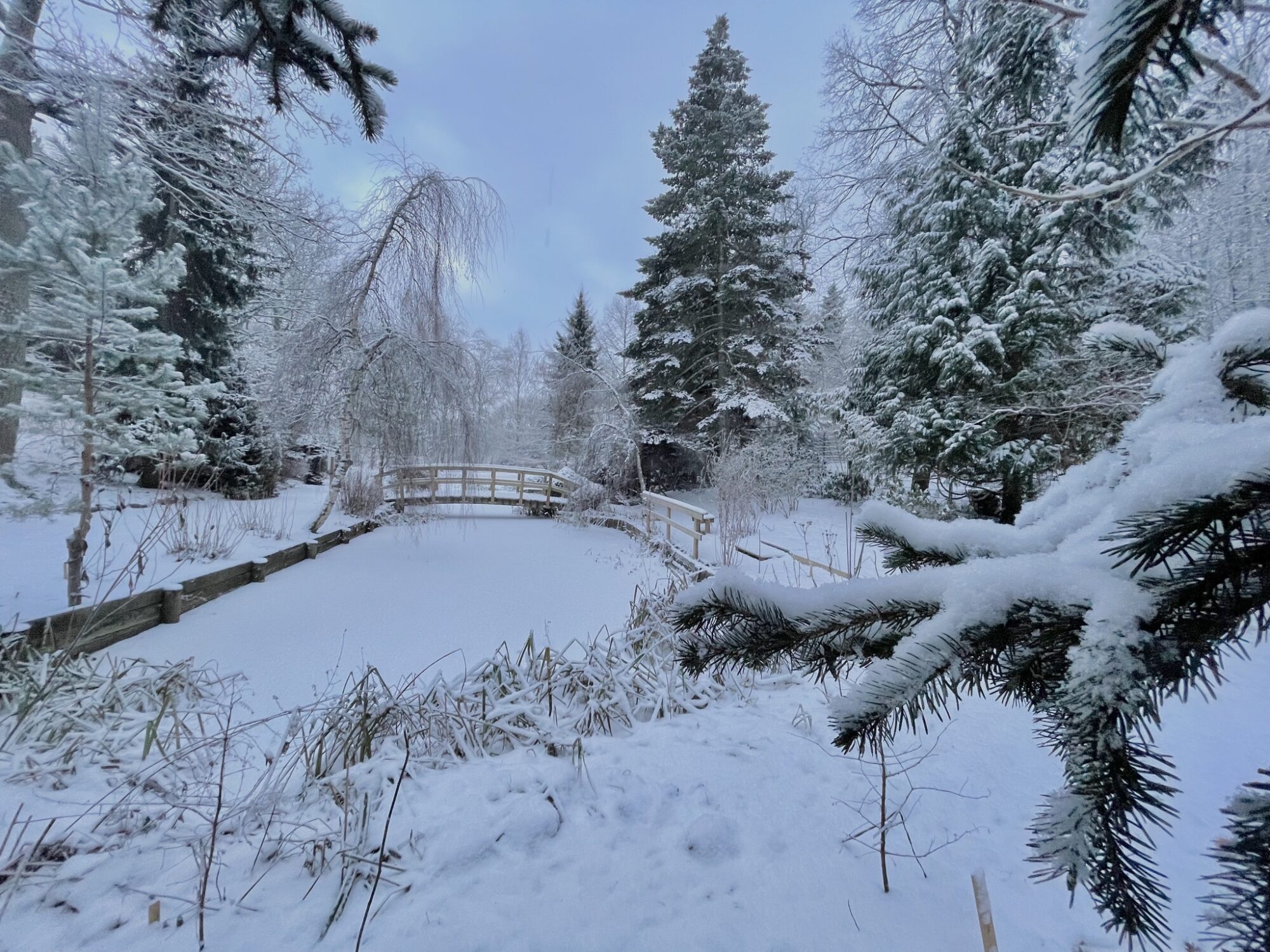 Valokuvaaja: Juhani Peltonen Valokuvaaja: Juhani Peltonen