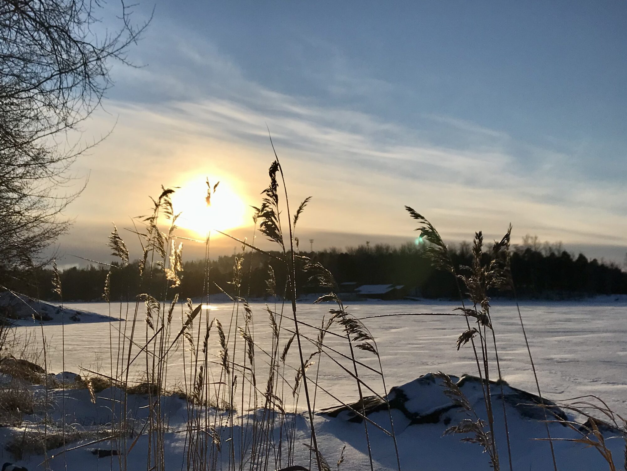 Valokuvaaja: Liisa Niiva-Korpela