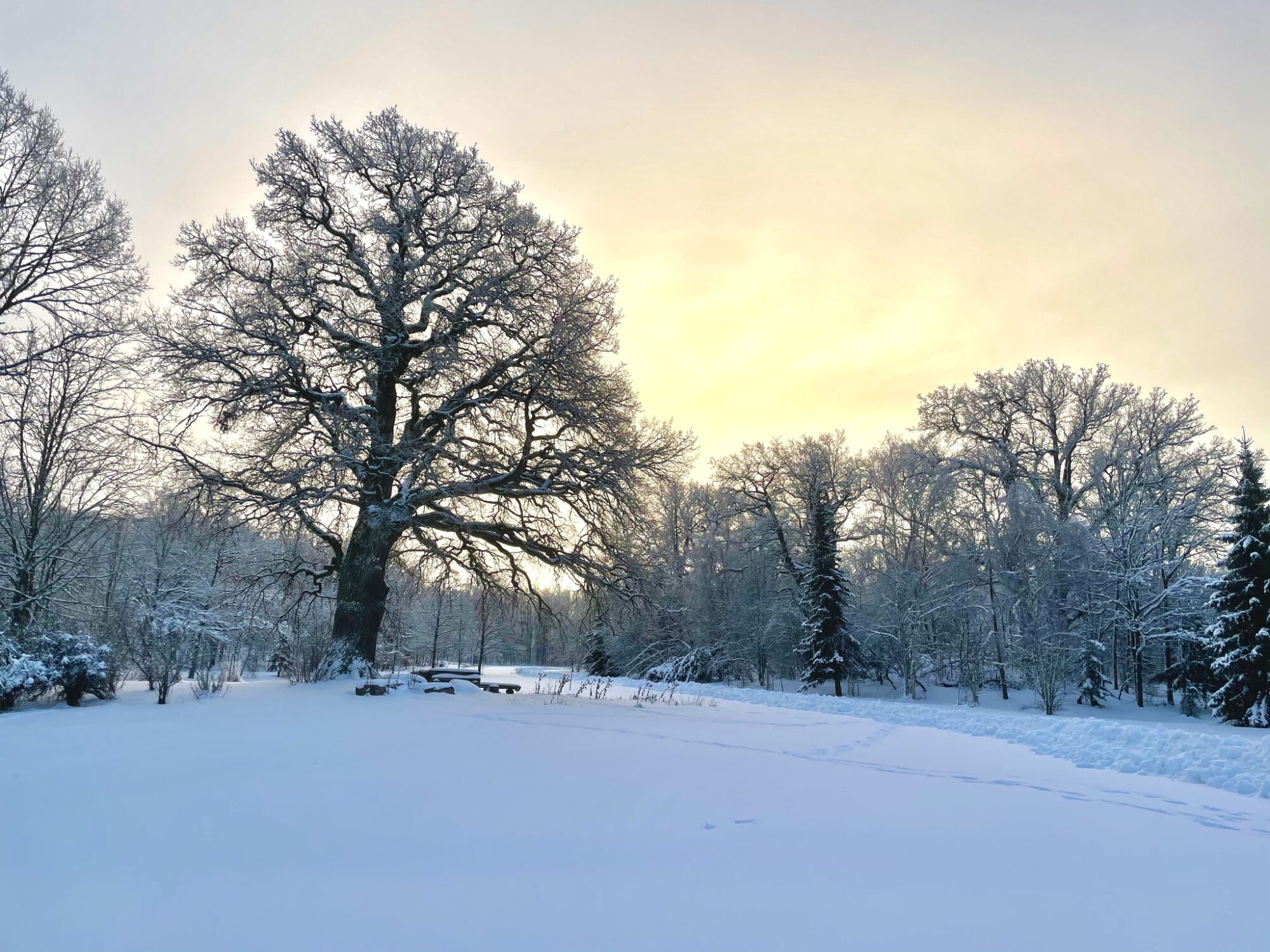 Valokuvaaja: Juhani Peltonen
