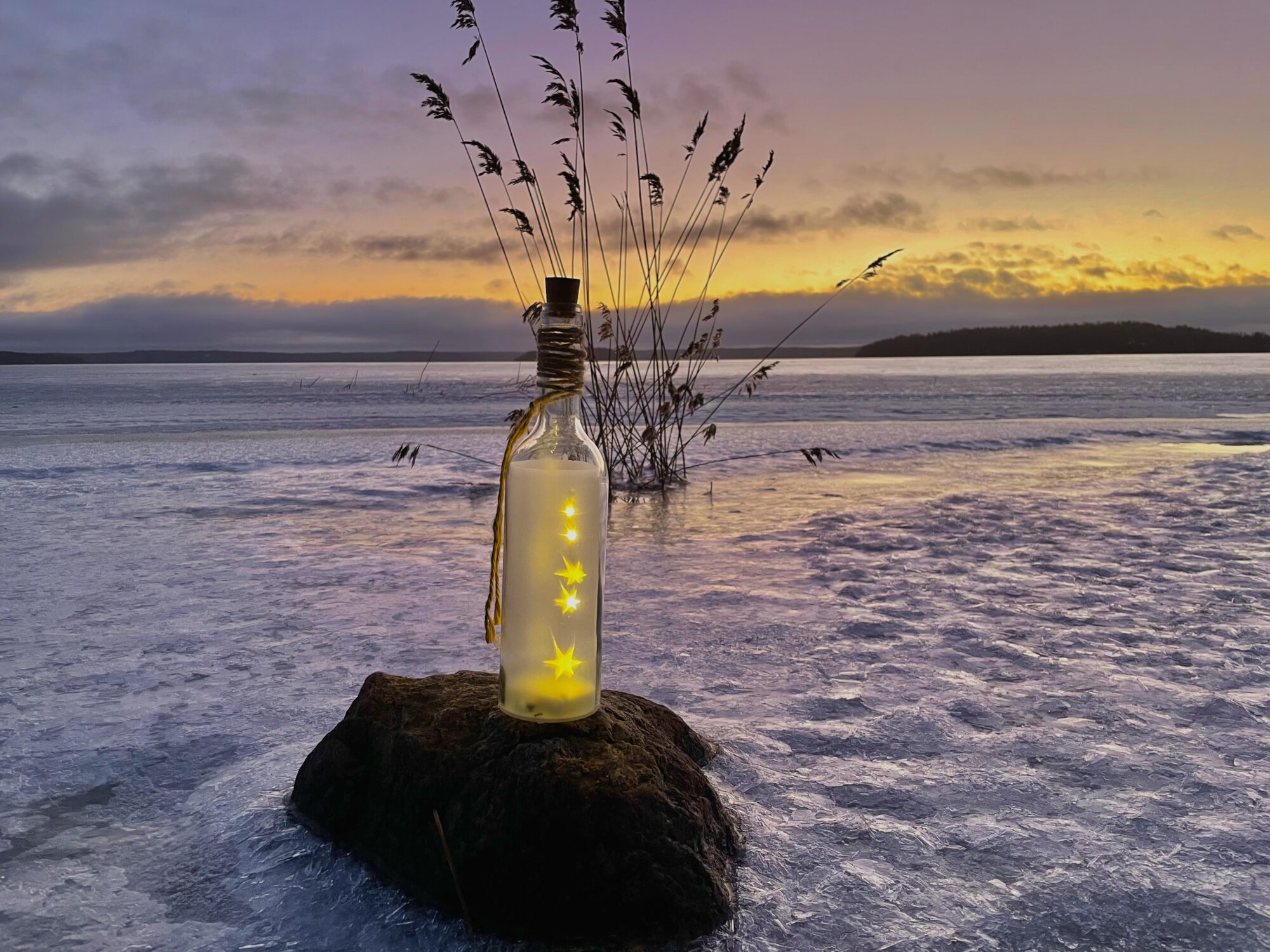 Valokuvaaja: Juhani Peltonen