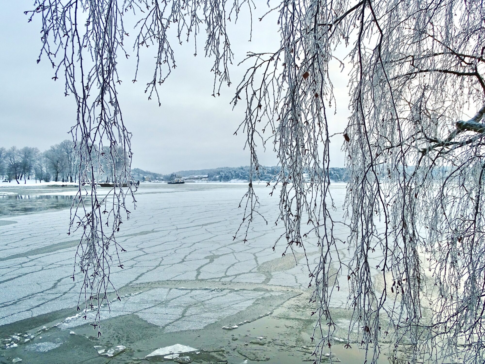 Valokuvaaja: Juhani Peltonen