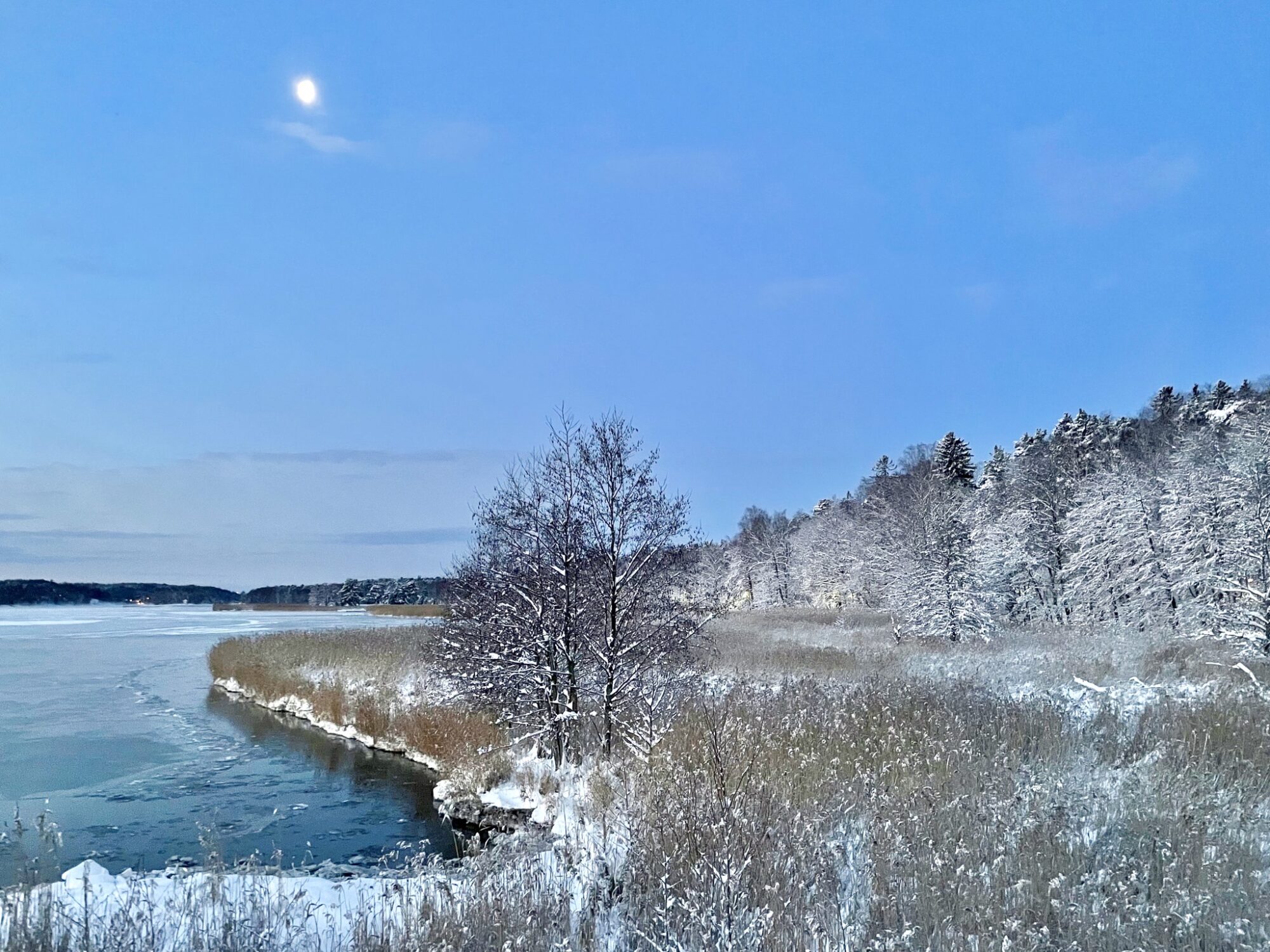 Valokuvaaja: Juhani Peltonen