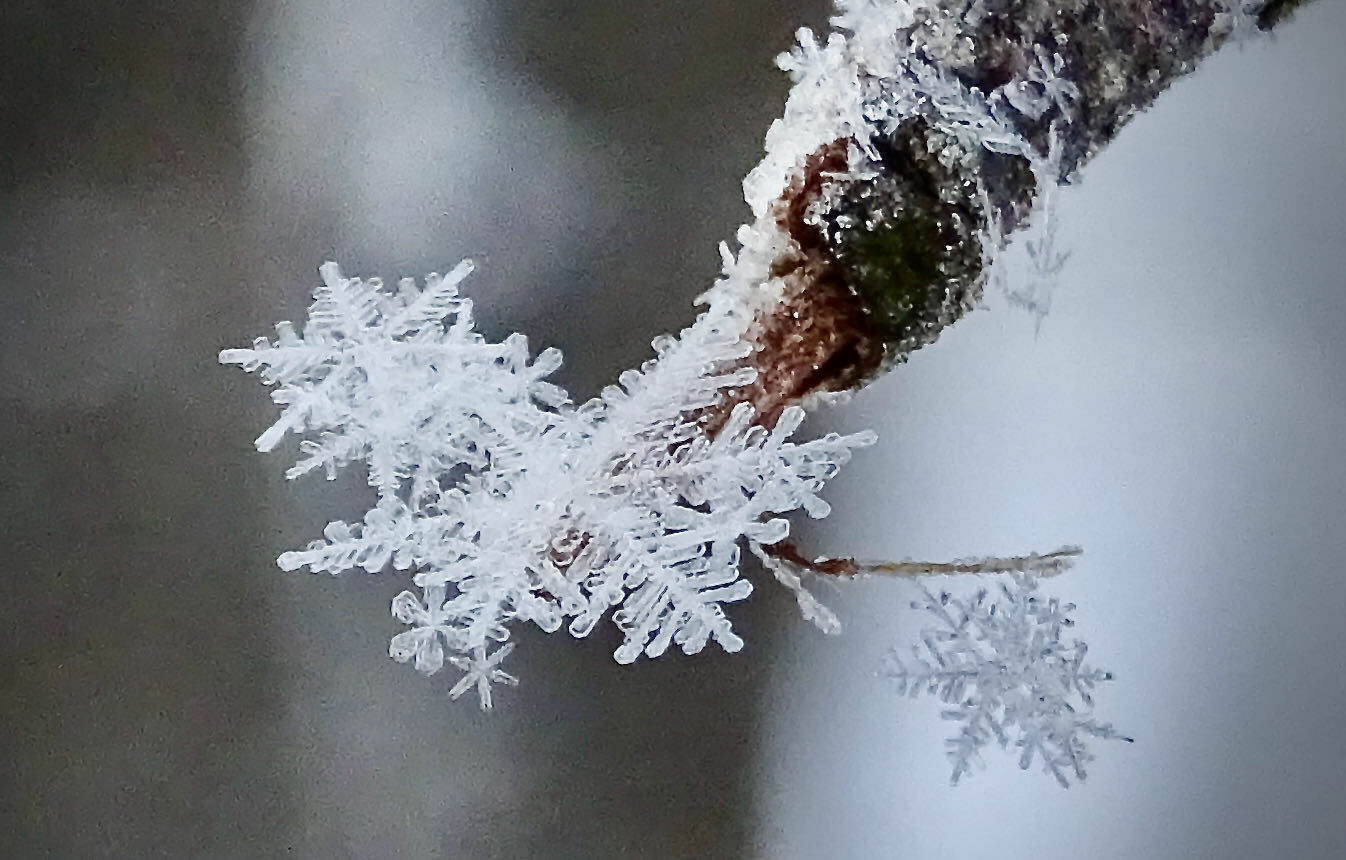 Valokuvaaja: Liisa Niiva-Korpela