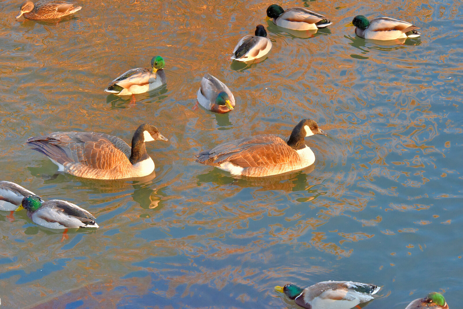 Valokuvaaja: Reijo Juurinen
