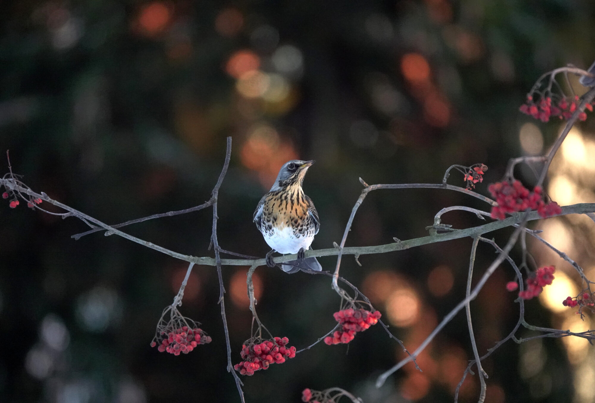 Valokuvaaja: Minna Mäkipää