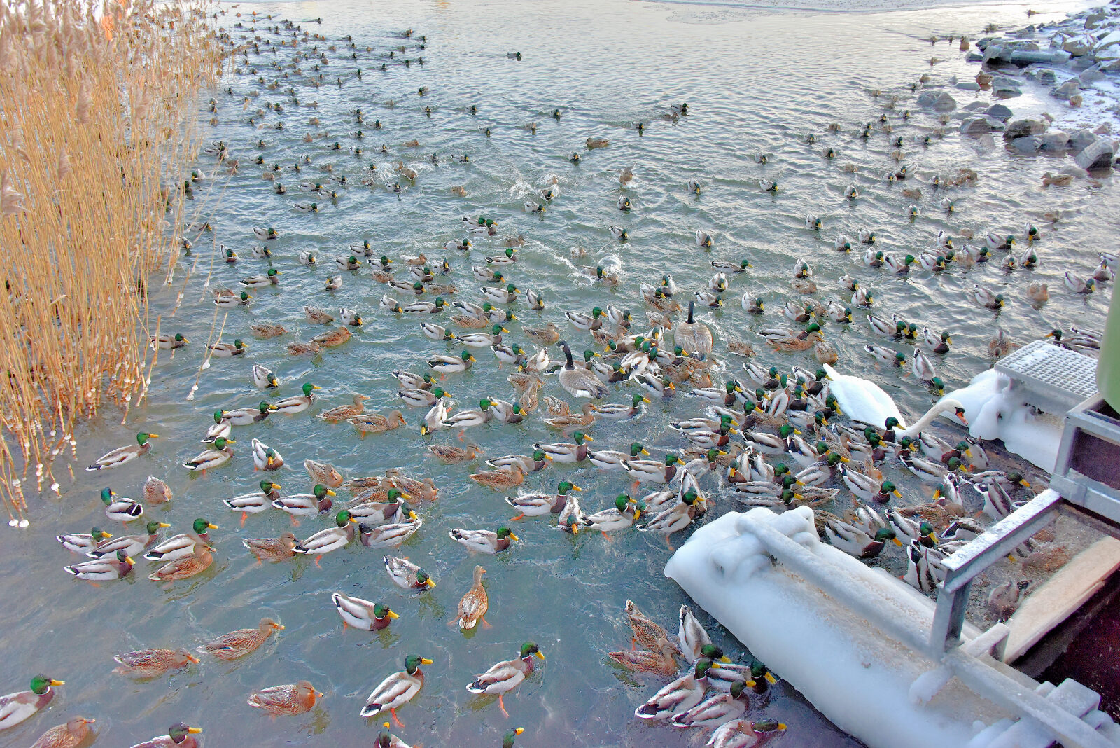 Valokuvaaja: Reijo Juurinen