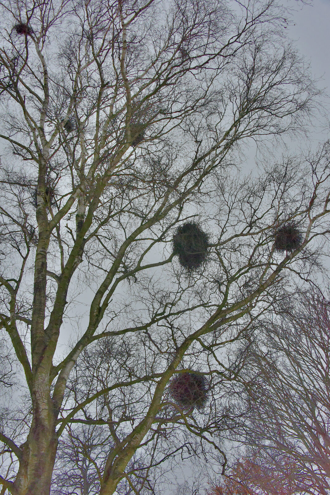 Valokuvaaja: Reijo Juurinen