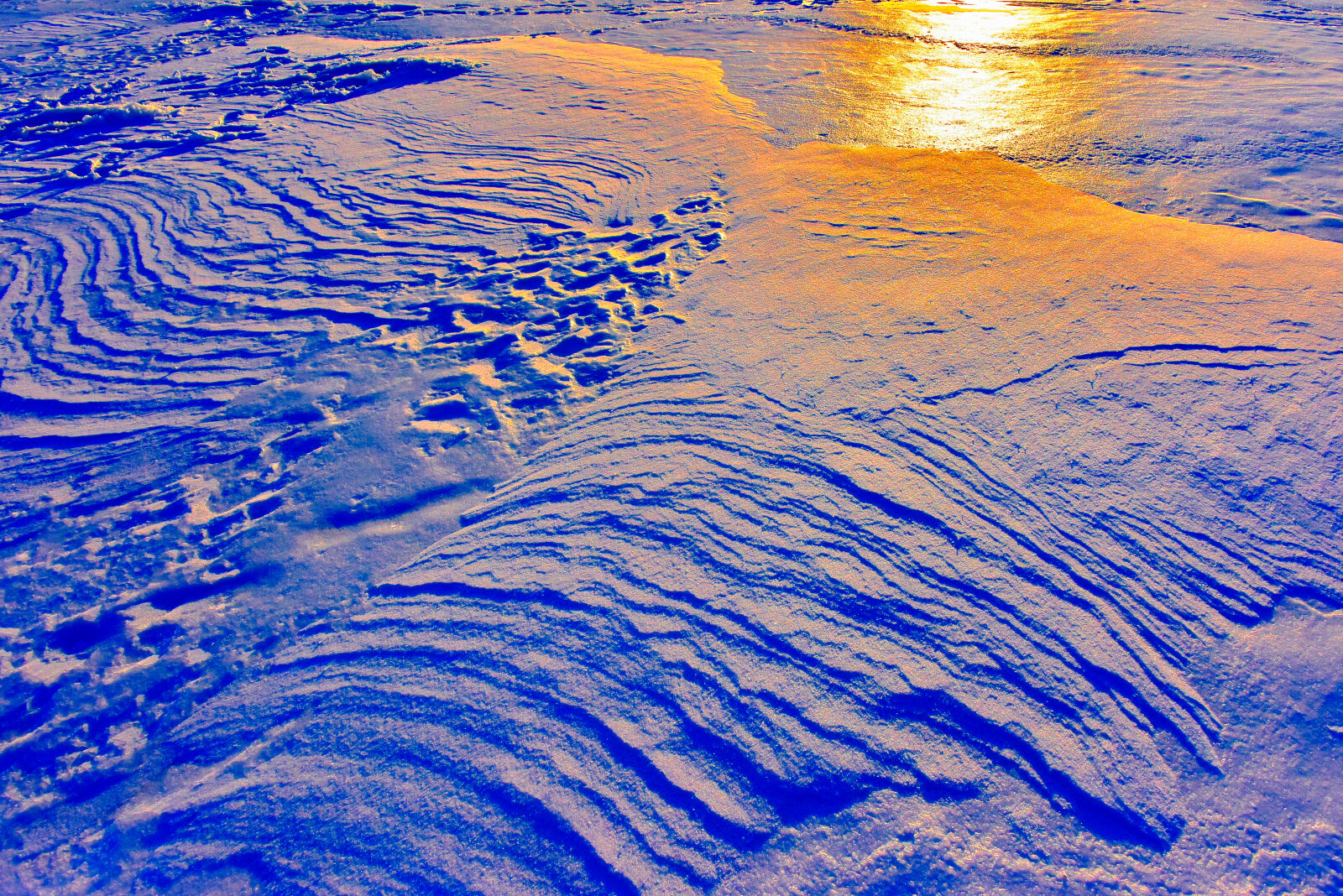 Valokuvaaja: Reijo Juurinen