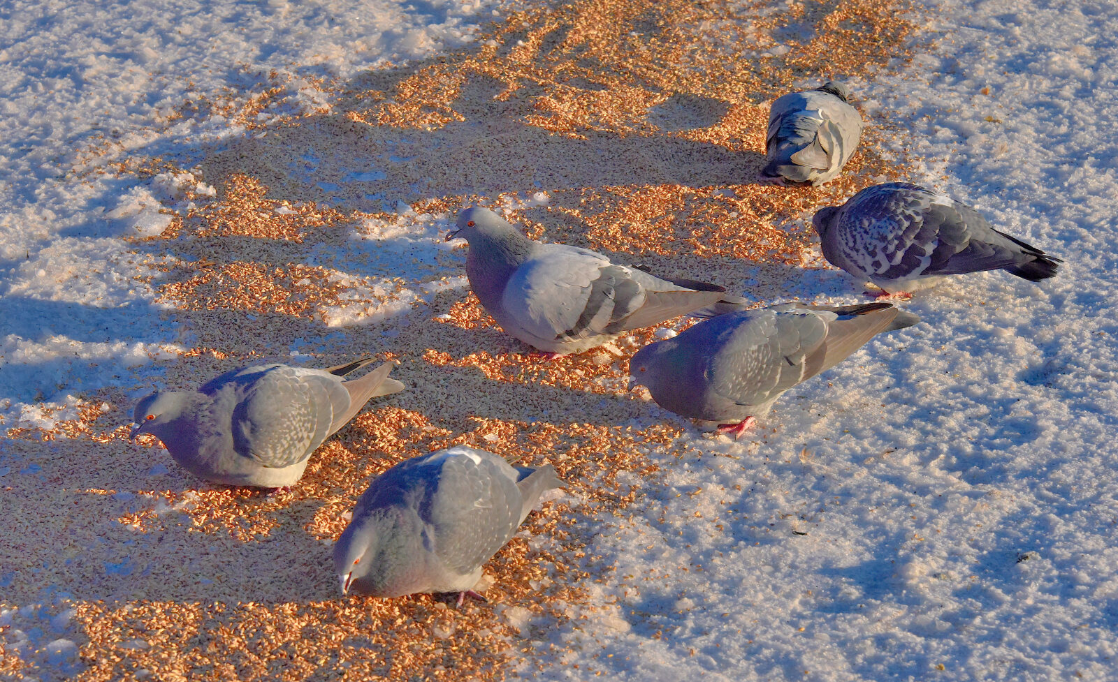Valokuvaaja: Reijo Juurinen Valokuvaaja: Reijo Juurinen