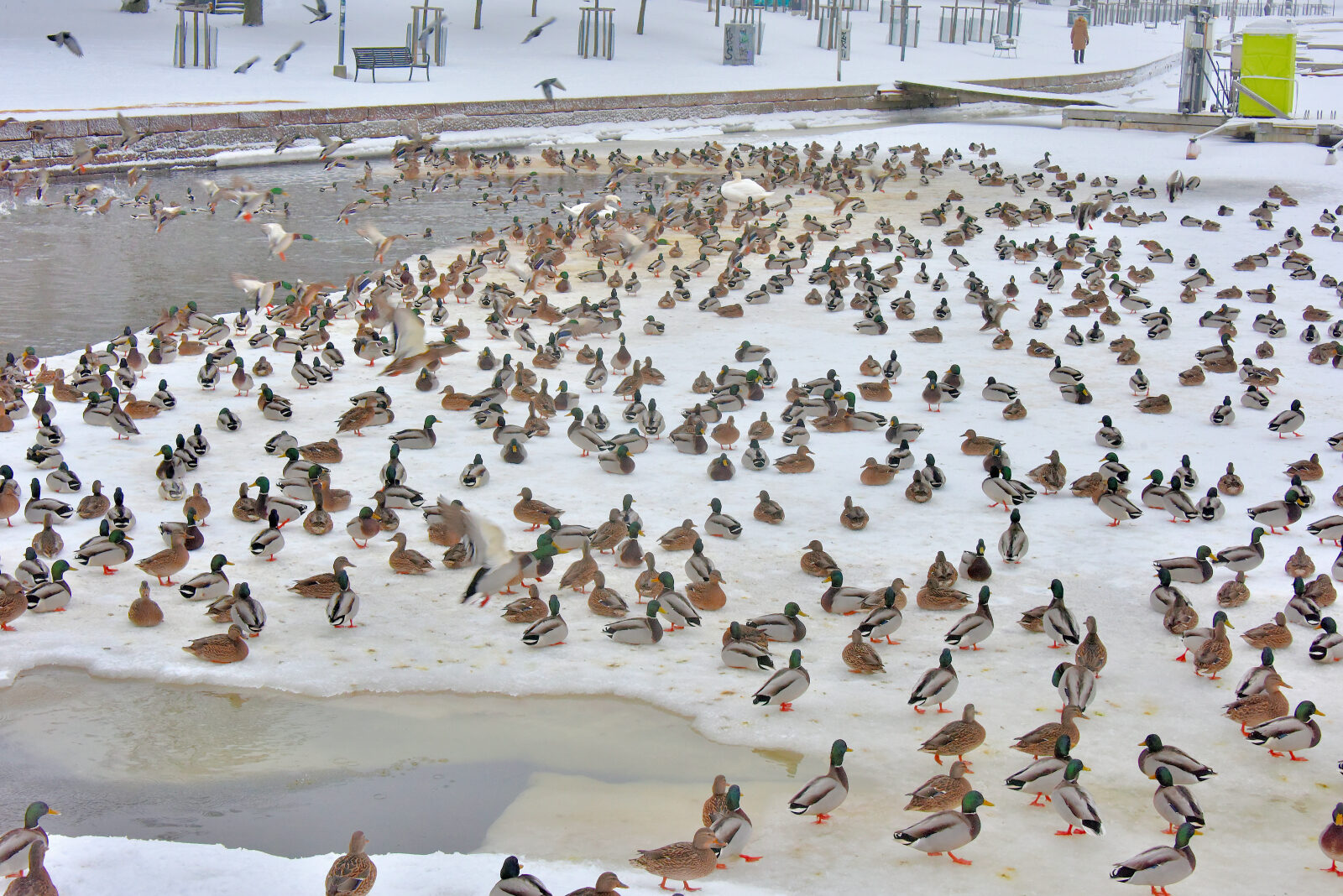 Valokuvaaja: Reijo Juurinen Valokuvaaja: Reijo Juurinen