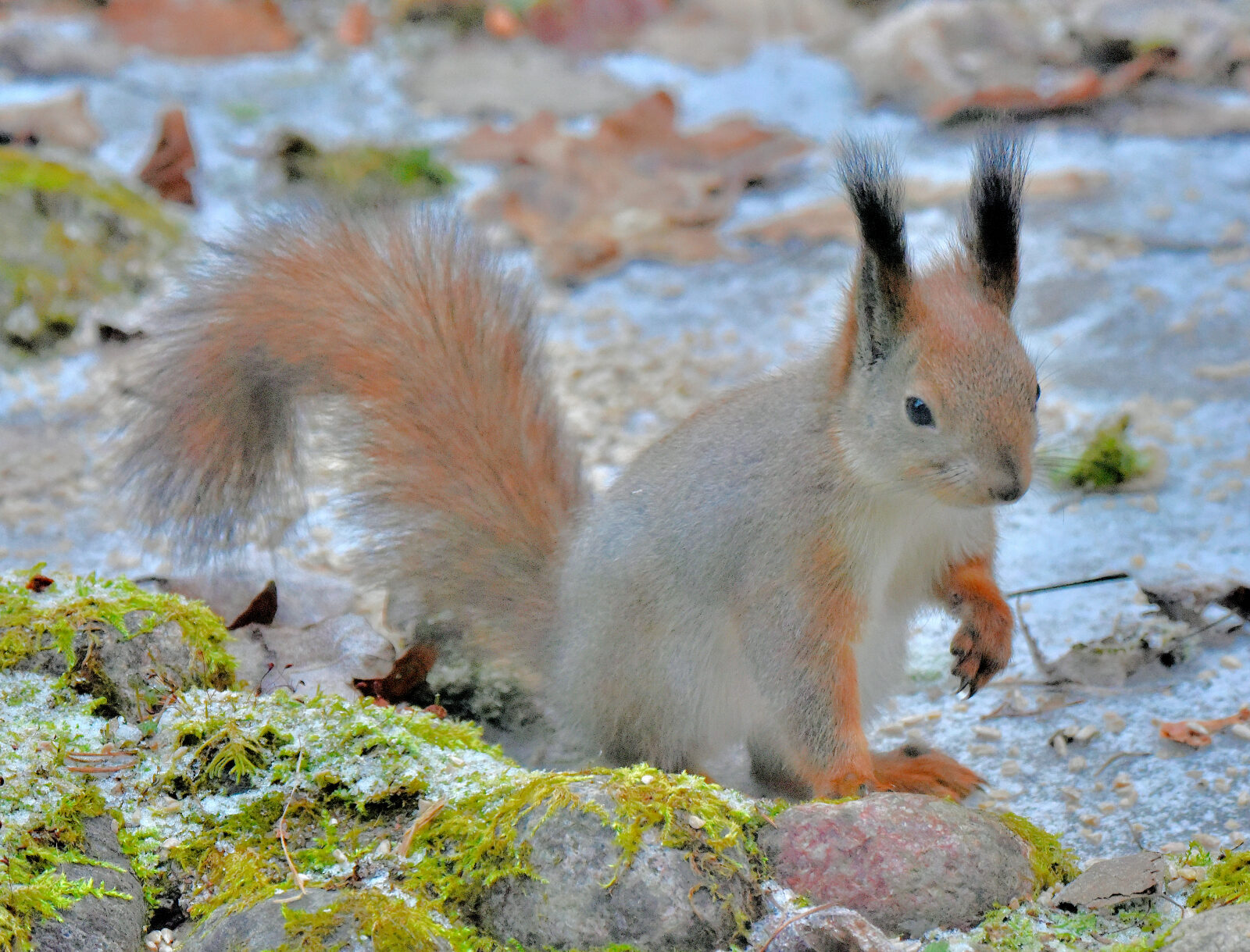 Valokuvaaja: Reijo Juurinen