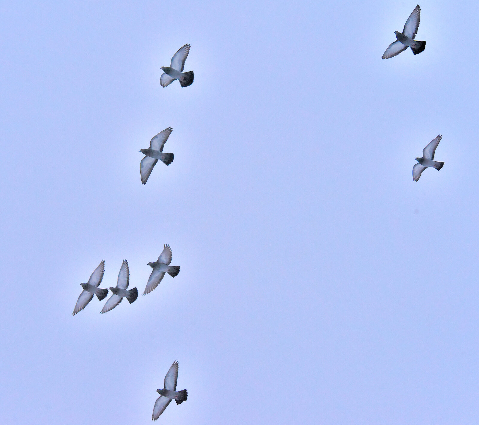 Valokuvaaja: Reijo Juurinen Valokuvaaja: Reijo Juurinen