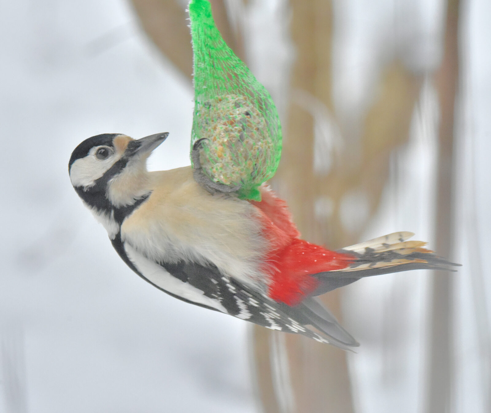 Valokuvaaja: Reijo Juurinen