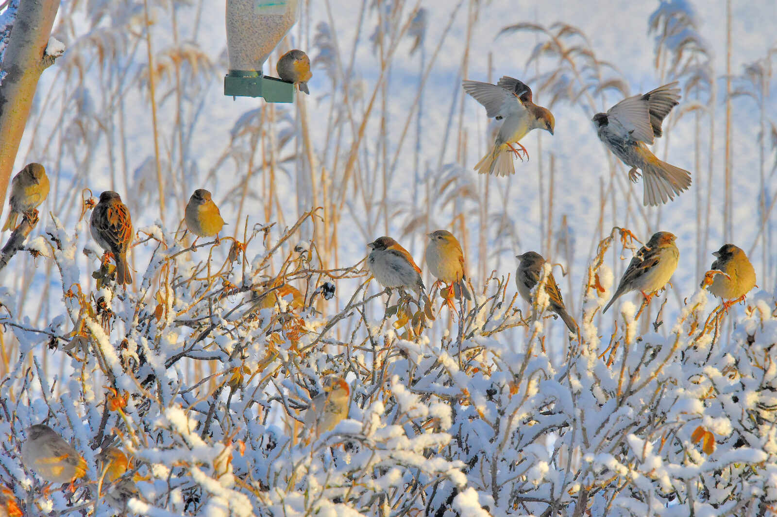 Valokuvaaja: Reijo Juurinen