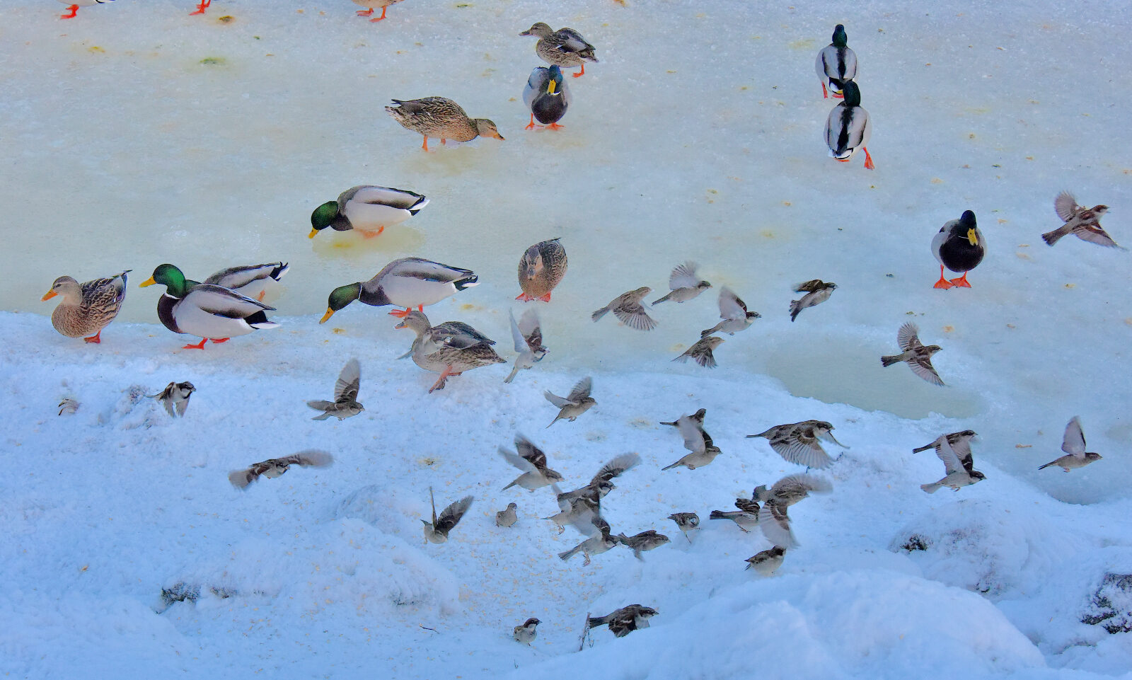 Valokuvaaja: Reijo Juurinen