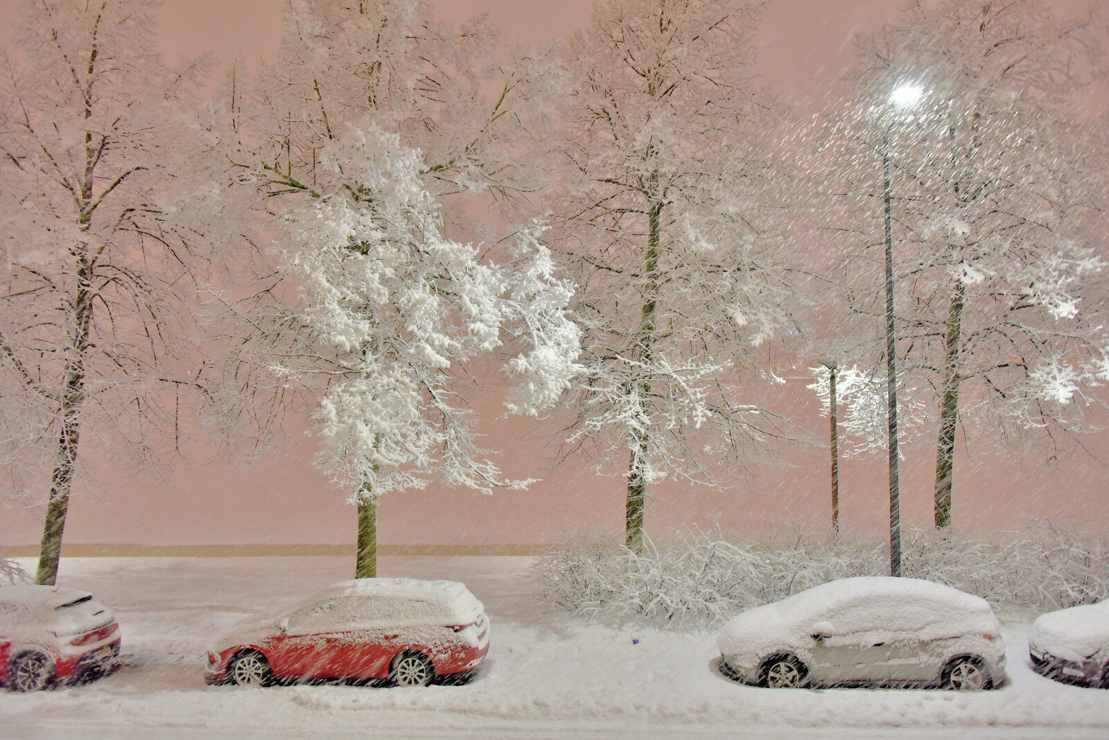 Valokuvaaja: Reijo Juurinen