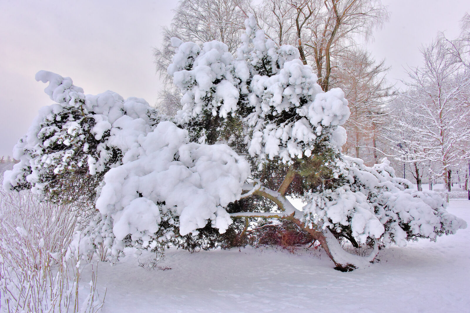 Valokuvaaja: Reijo Juurinen Valokuvaaja: Reijo Juurinen