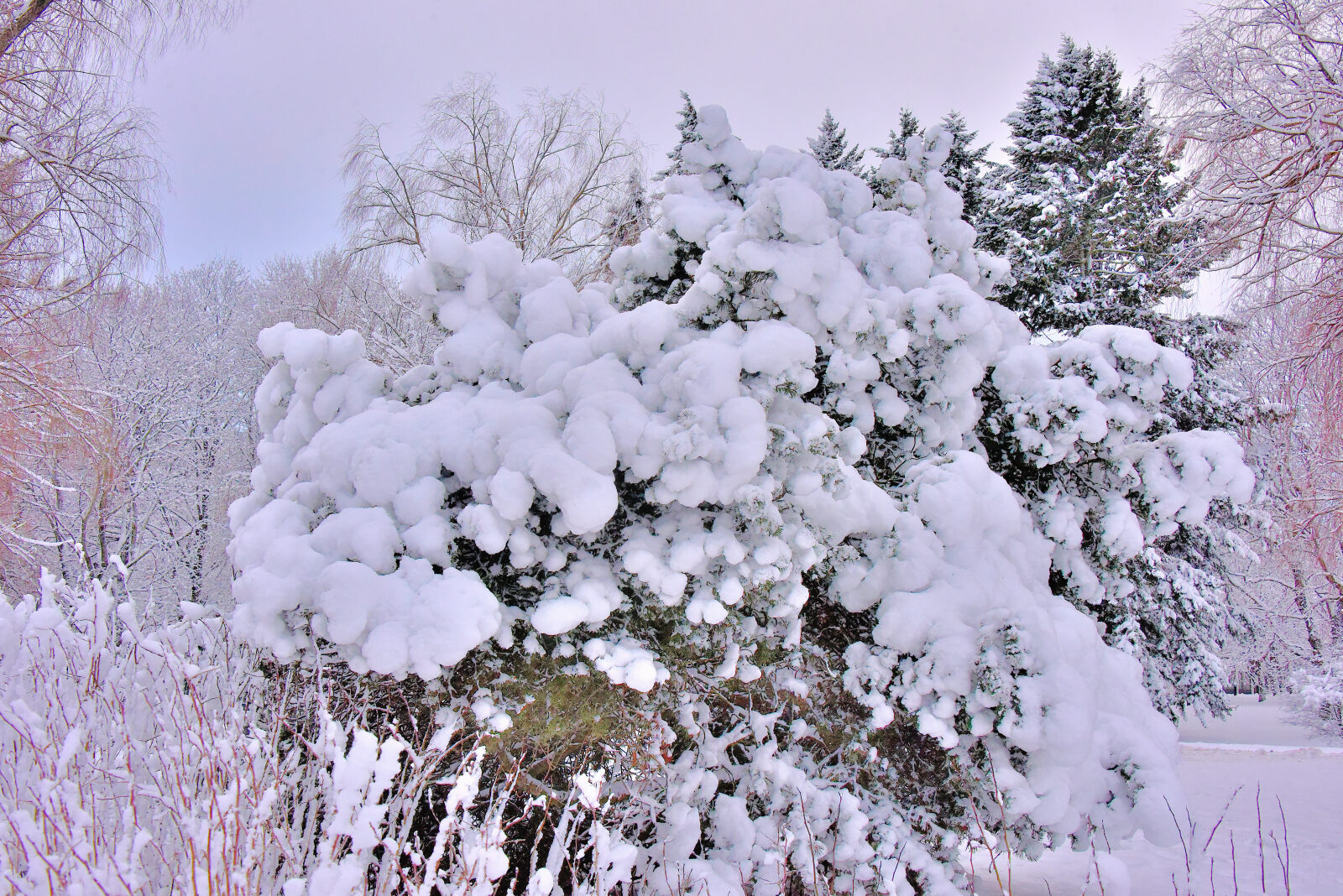 Valokuvaaja: Reijo Juurinen