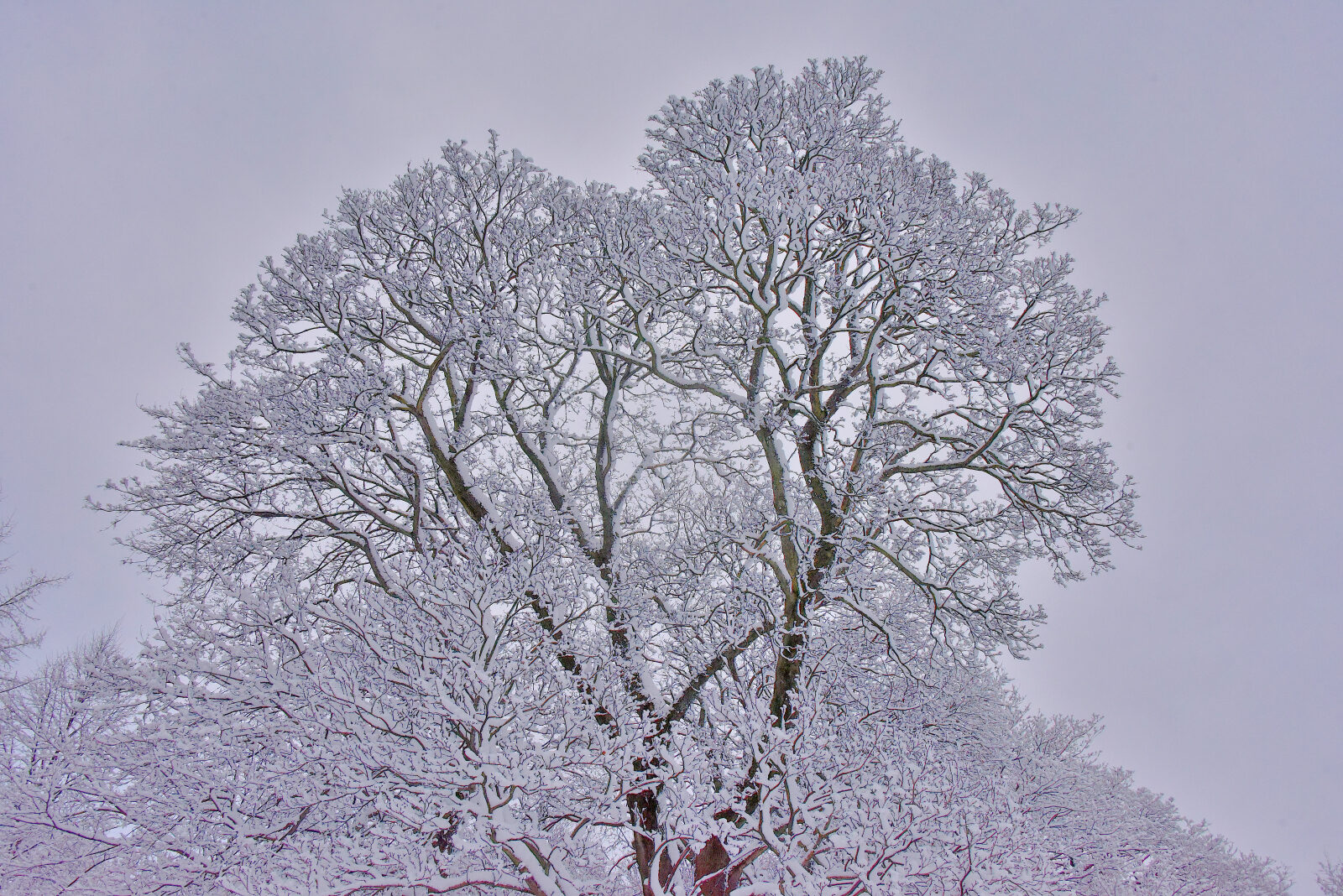 Valokuvaaja: Reijo Juurinen
