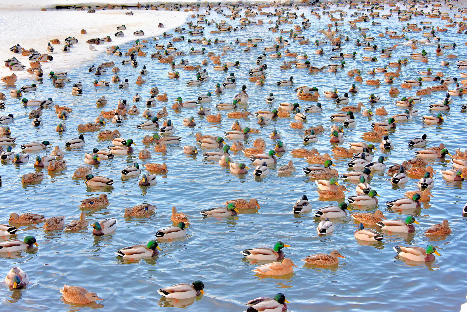 Valokuvaaja: Reijo Juurinen