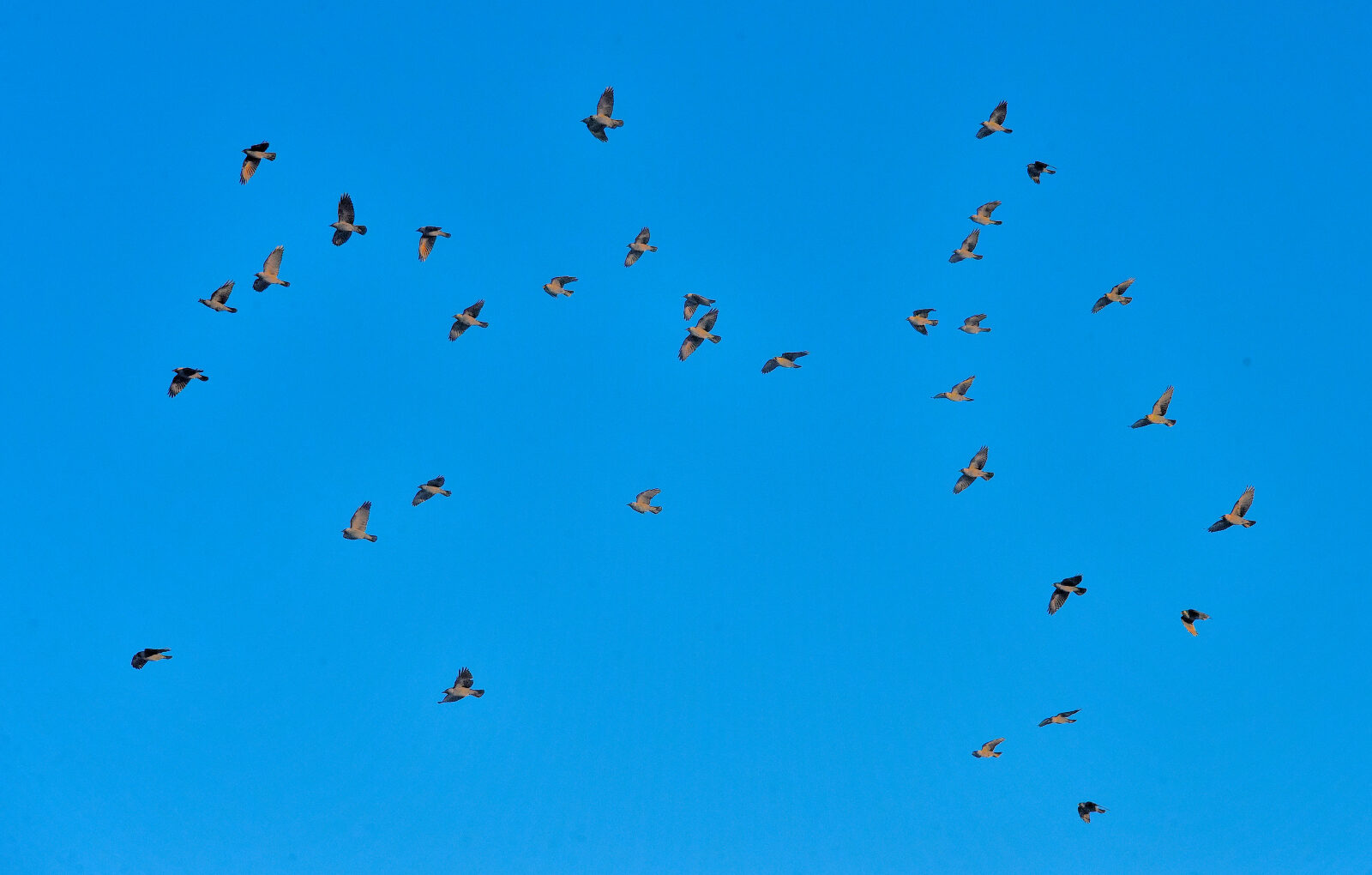 Valokuvaaja: Reijo Juurinen