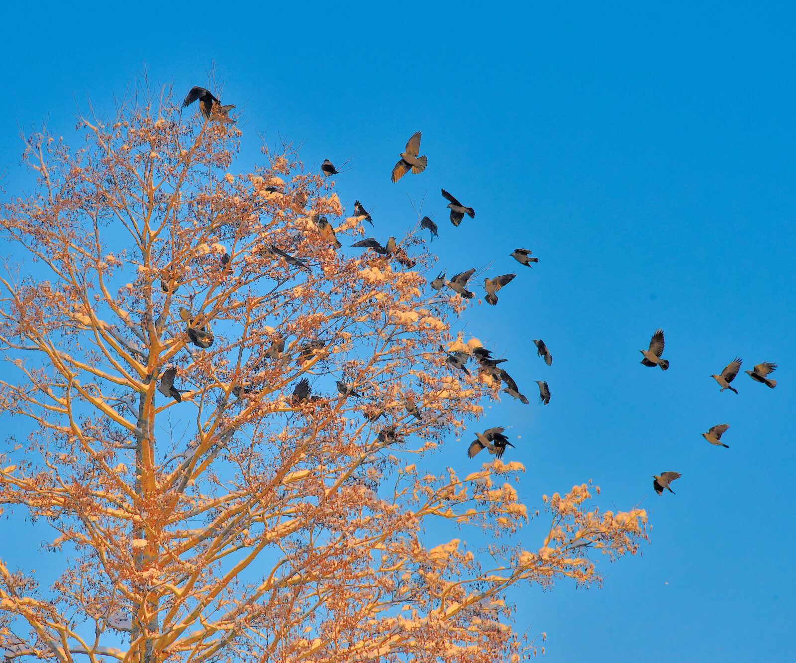 Valokuvaaja: Reijo Juurinen