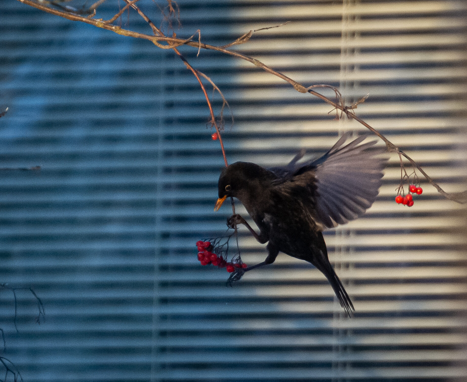Valokuvaaja: Tuula Komsi