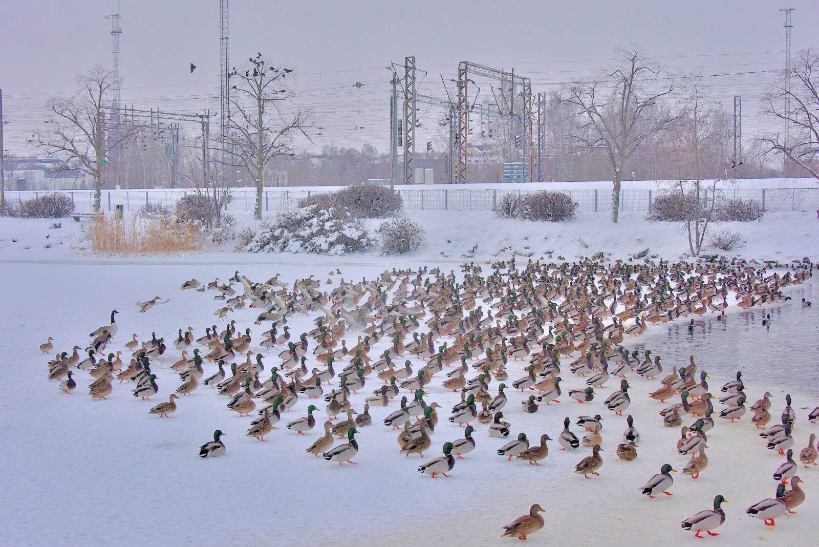 Valokuvaaja: Reijo Juurinen