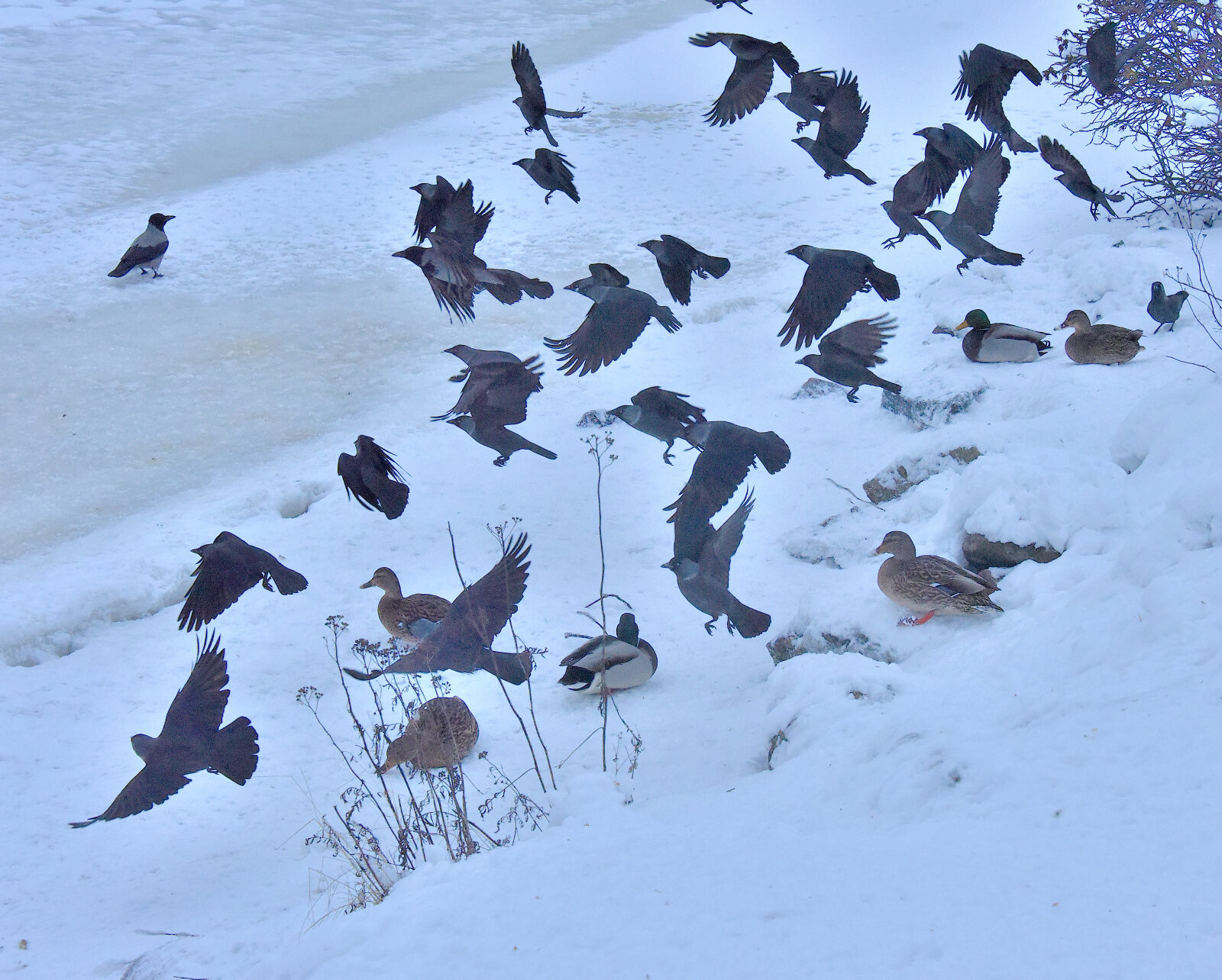 Valokuvaaja: Reijo Juurinen