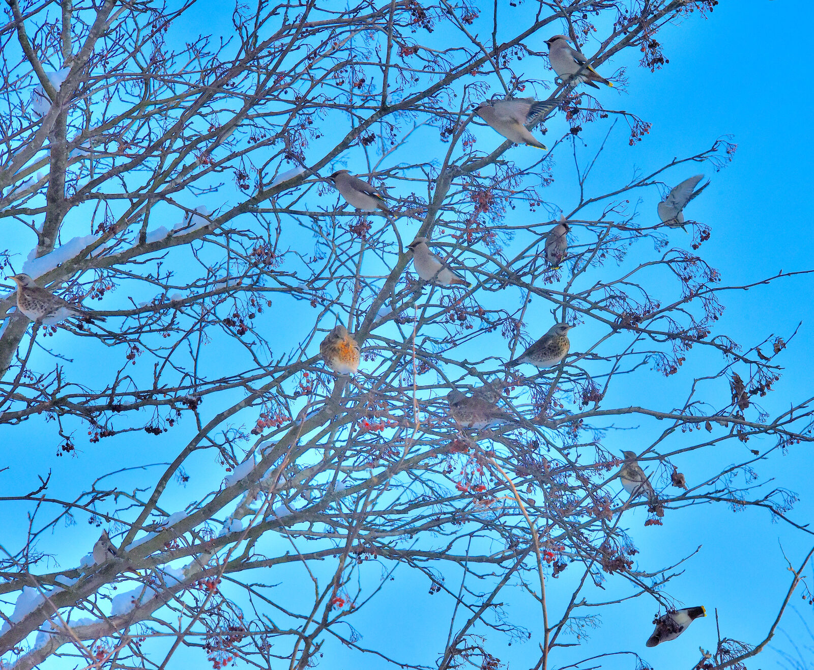 Valokuvaaja: Reijo Juurinen