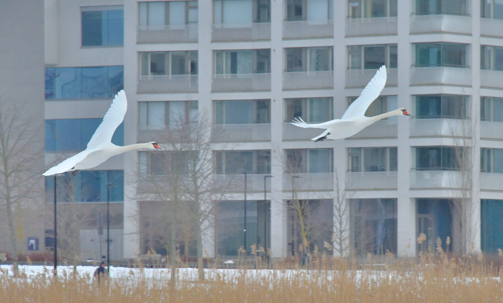 Valokuvaaja: Reijo Juurinen
