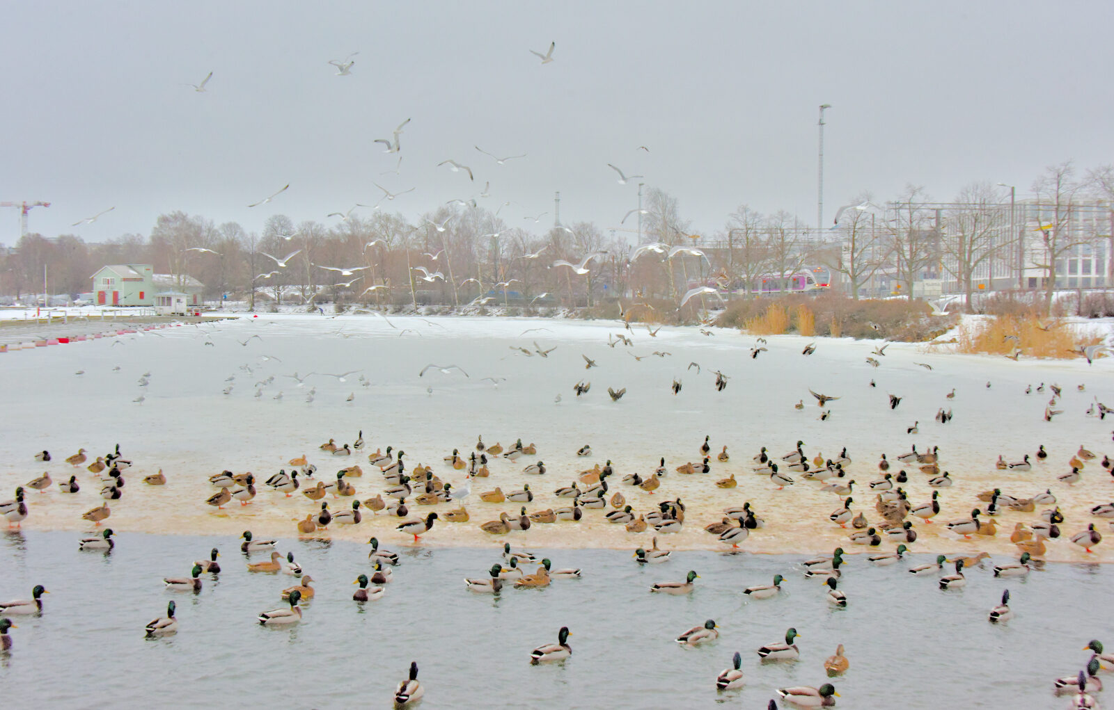 Valokuvaaja: Reijo Juurinen
