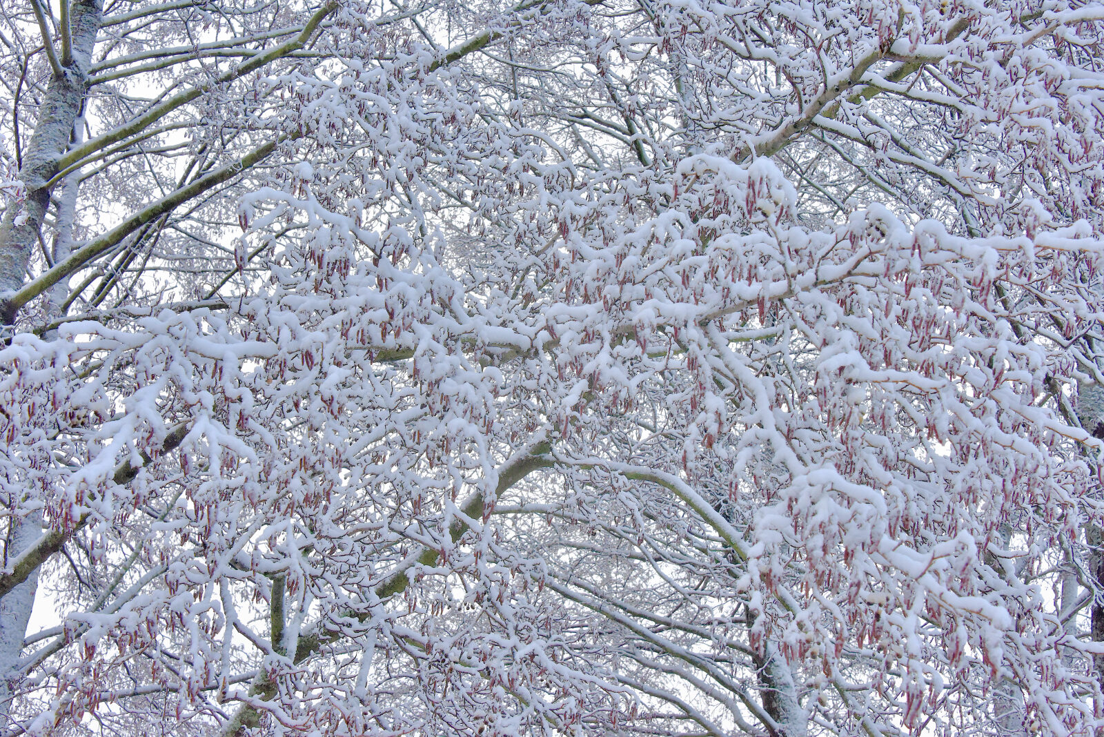 Valokuvaaja: Reijo Juurinen